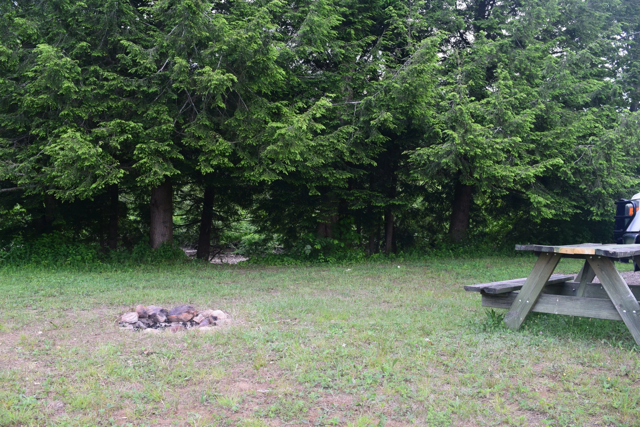 DSC_0020.JPG