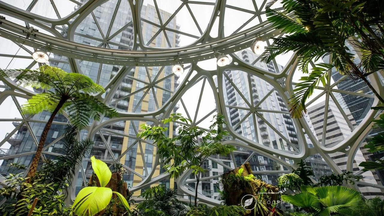 Amazon's Sustainability Initiatives: Consumer Insights & Strategic Analysis