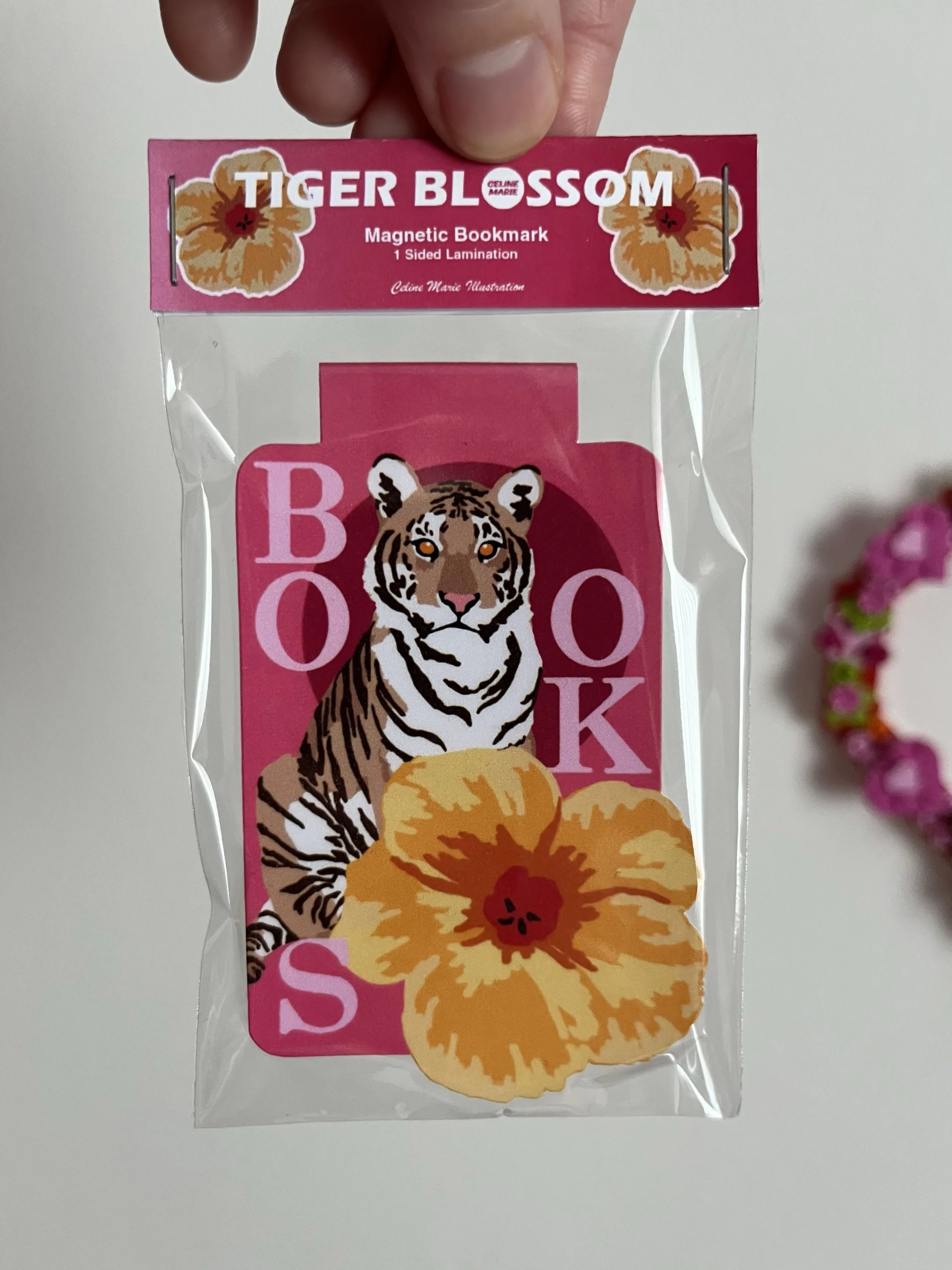 Big Cat Magnetic Bookmark Pack 1