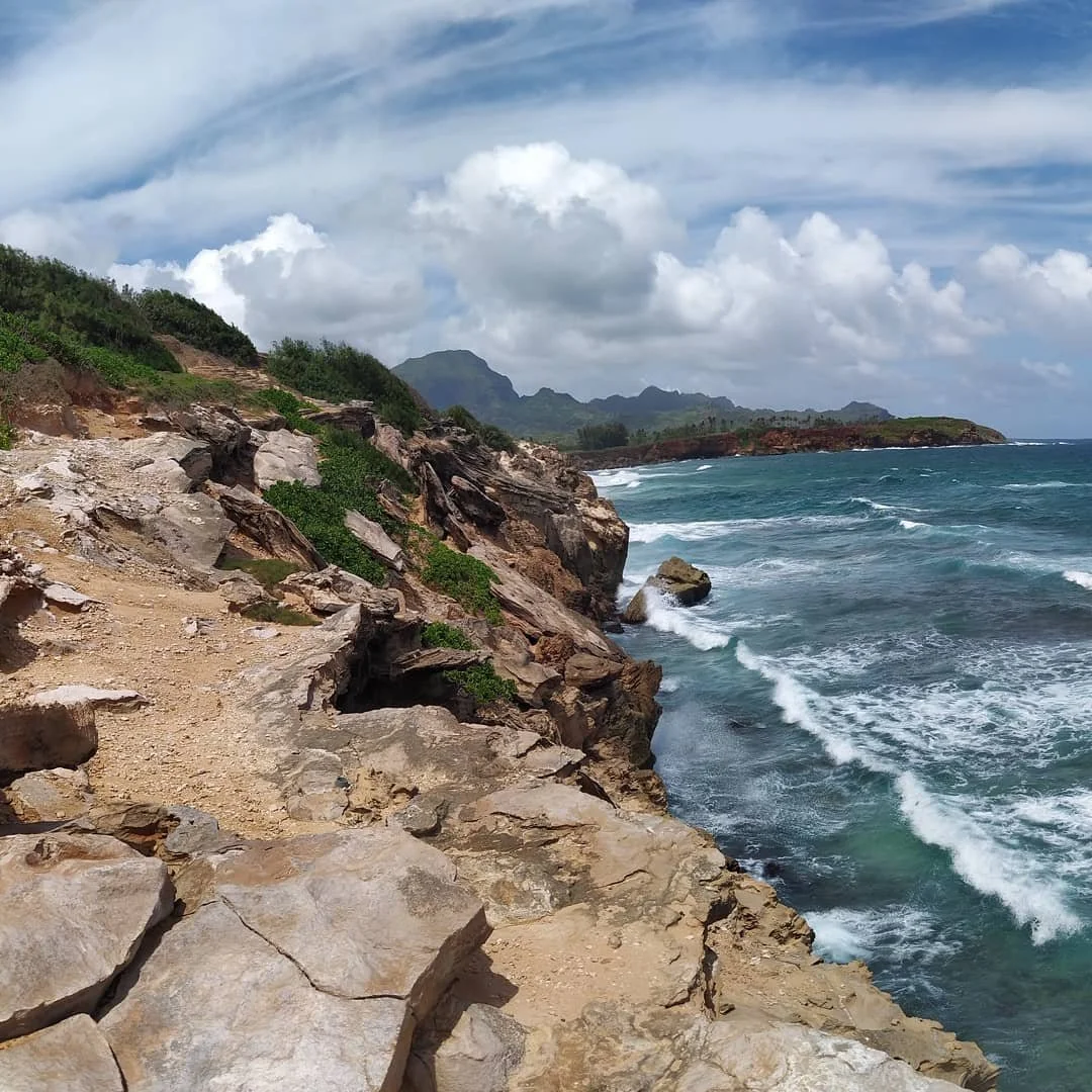 Coast, Cave & Creatures Hike
