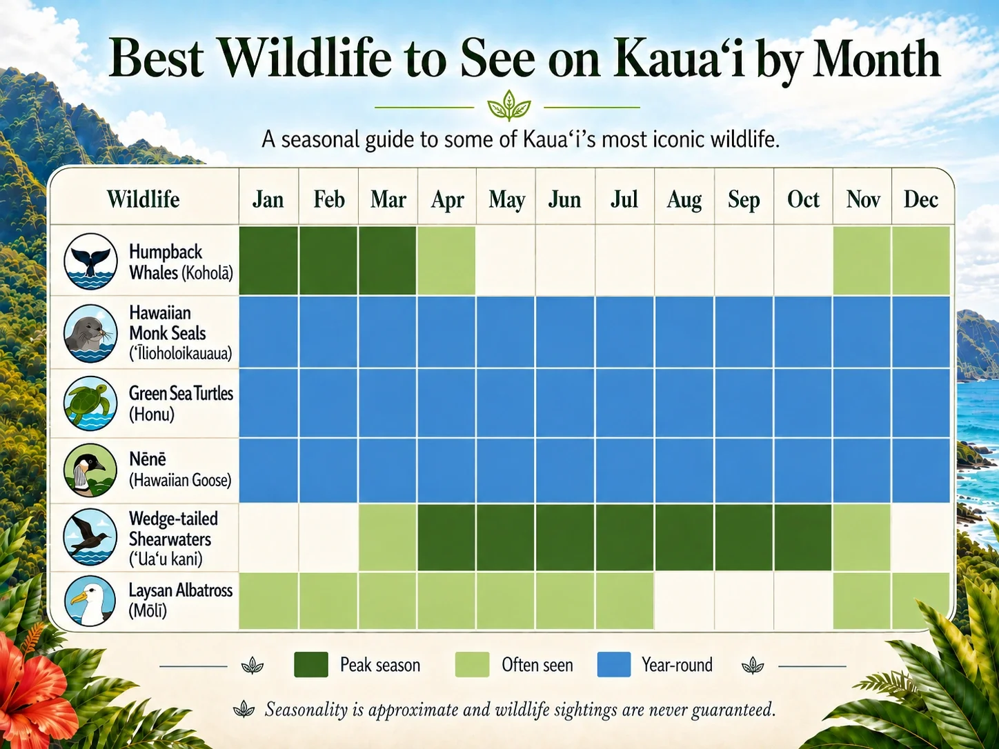 Kauai wildlife by month chart showing the best times to see humpback whales (koholā), Hawaiian monk seals, green sea turtles (honu), nēnē, wedge-tailed shearwaters (ʻuaʻu kani), and Laysan albatross (mōlī).