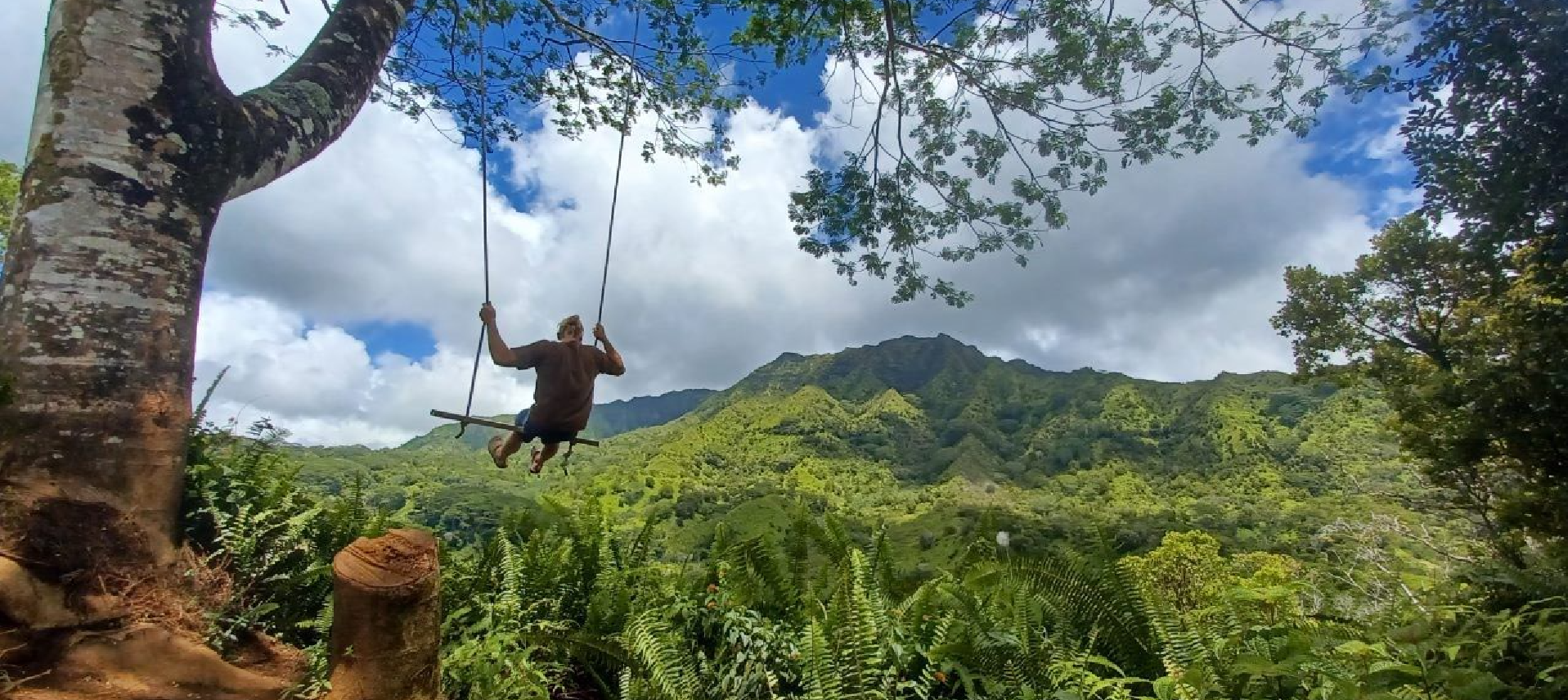 Hike, Swim & Feast in Kauai's Rugged Jungle Heart