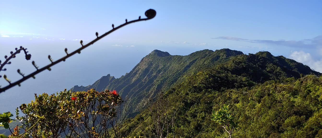 Ohia and Kalalau 2.jpg