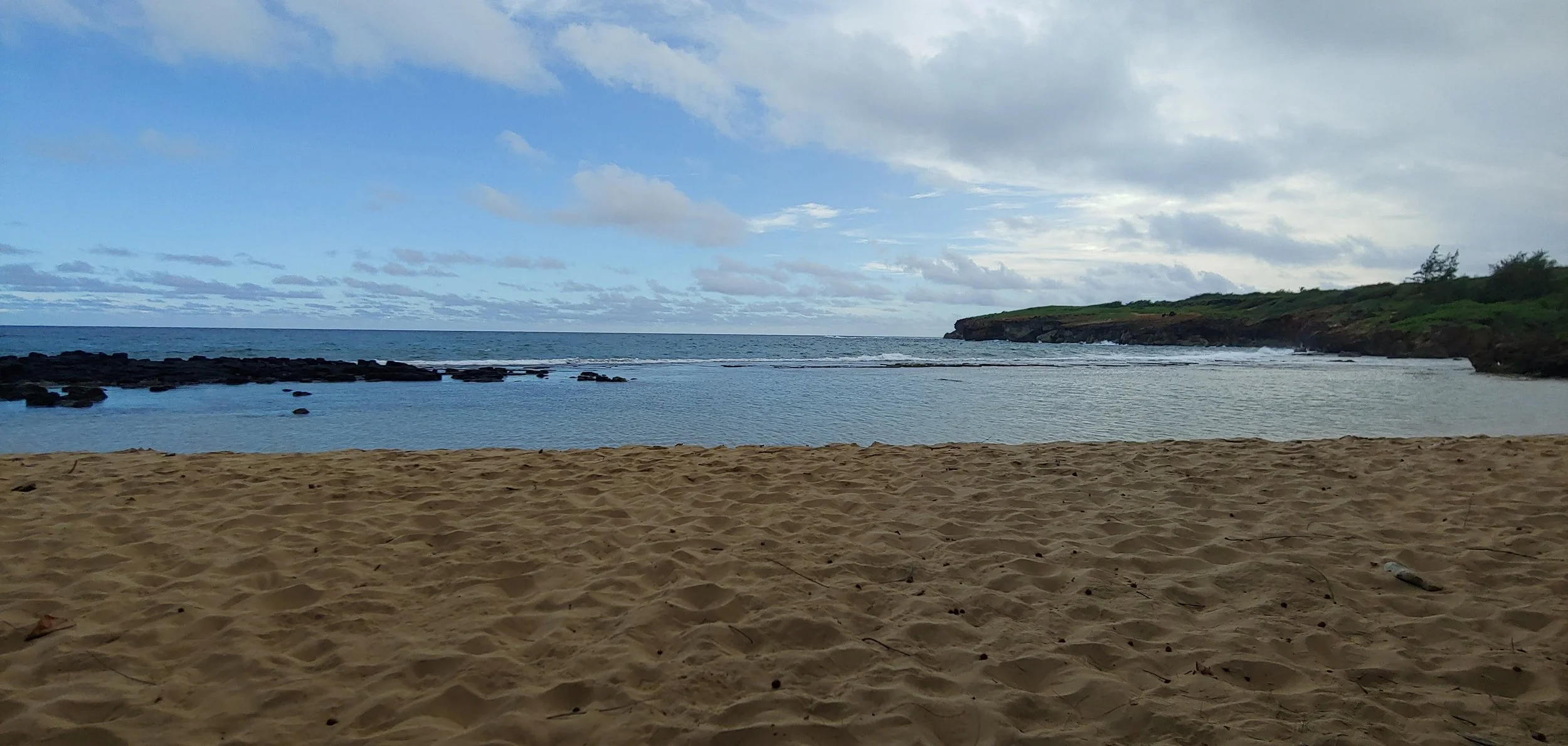 20201103_161346.jpg