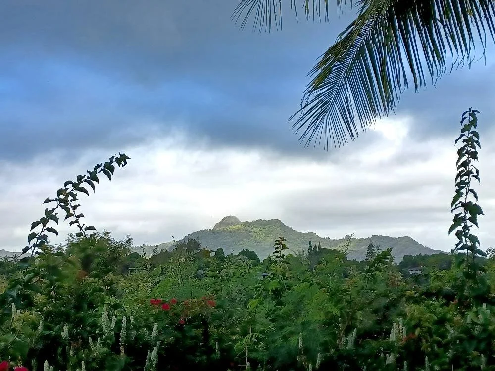 View of sleeping giant.jpg