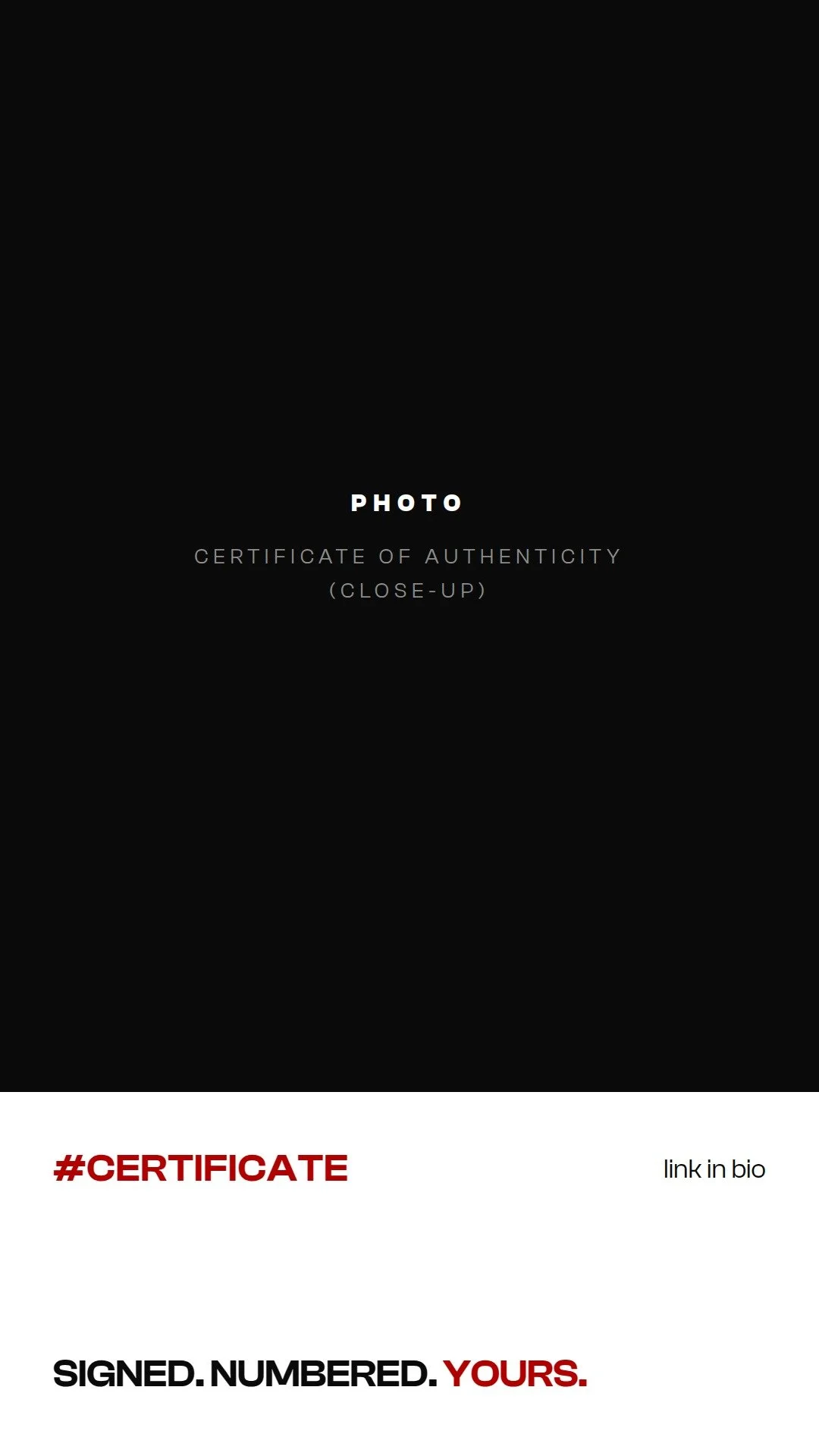 16_SHOP_W3-02_Tue_CertPhoto.jpg