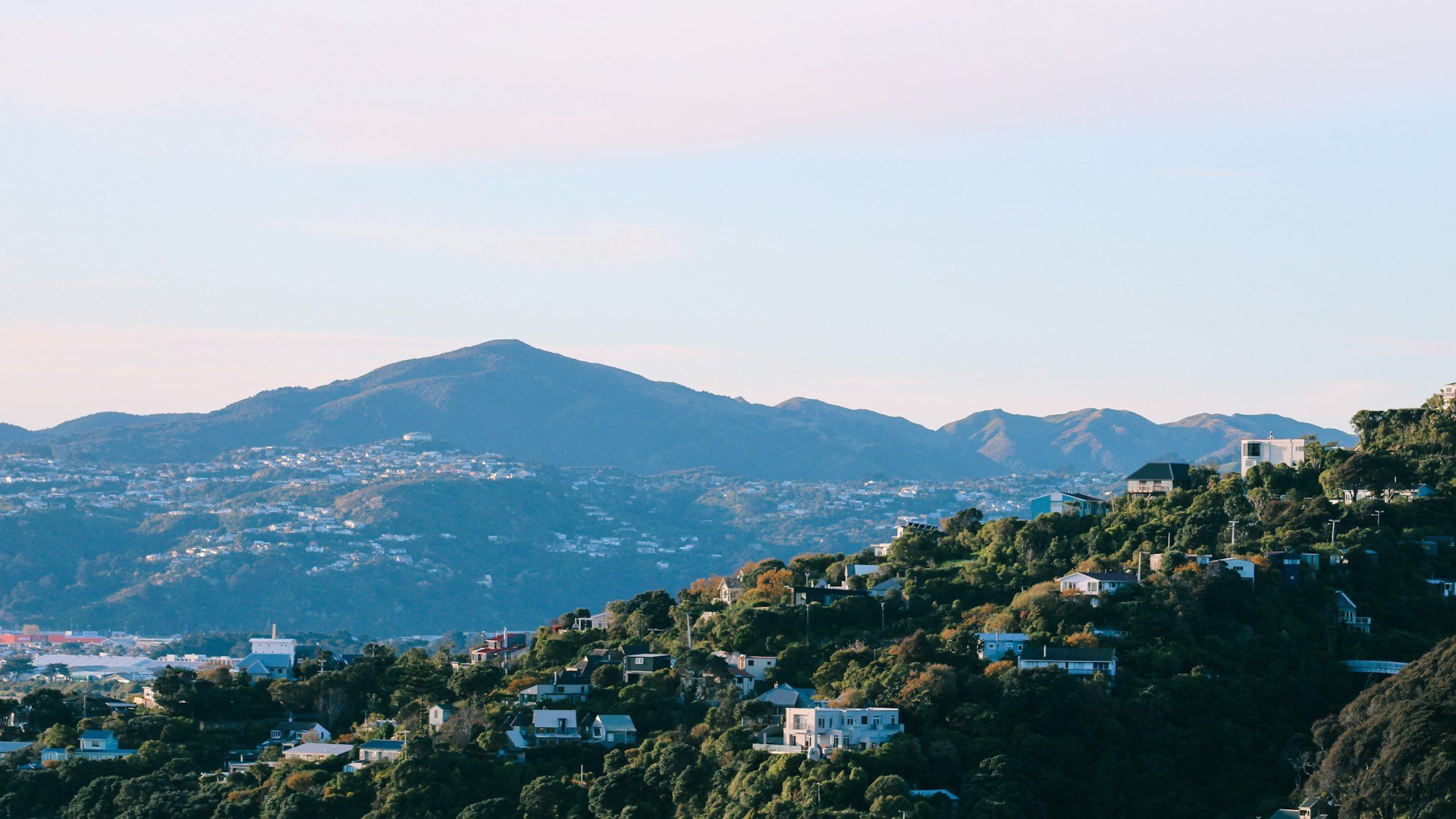 Scenic view of Wellington City with residential houses on a hillside, under a clear sky.