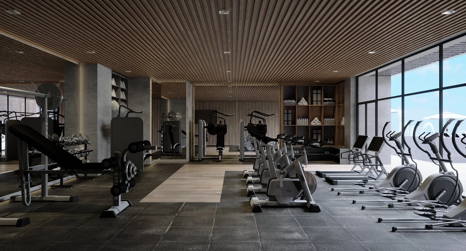 GYM_VISTA_01.jpg