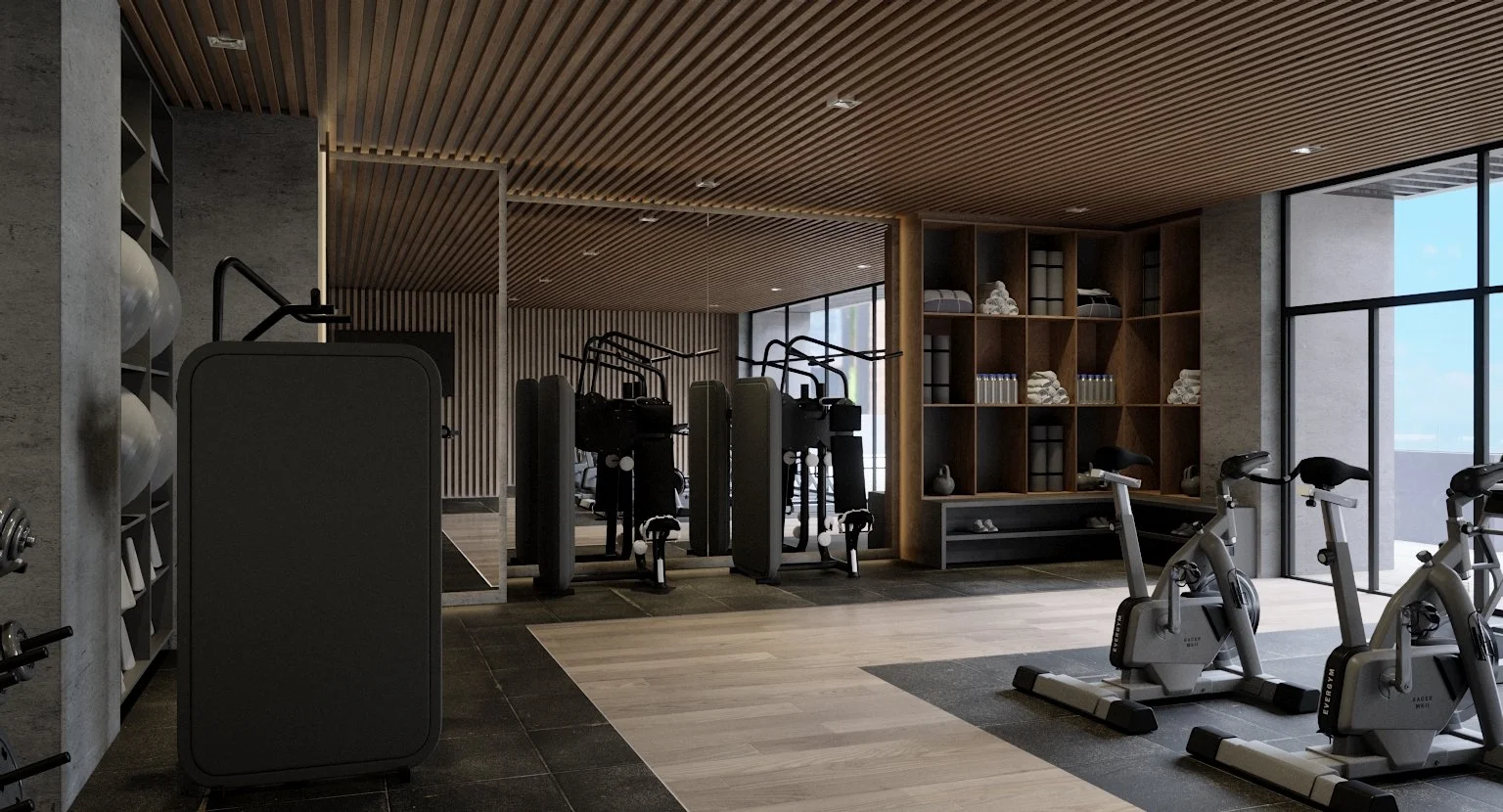GYM_VISTA_04.jpg