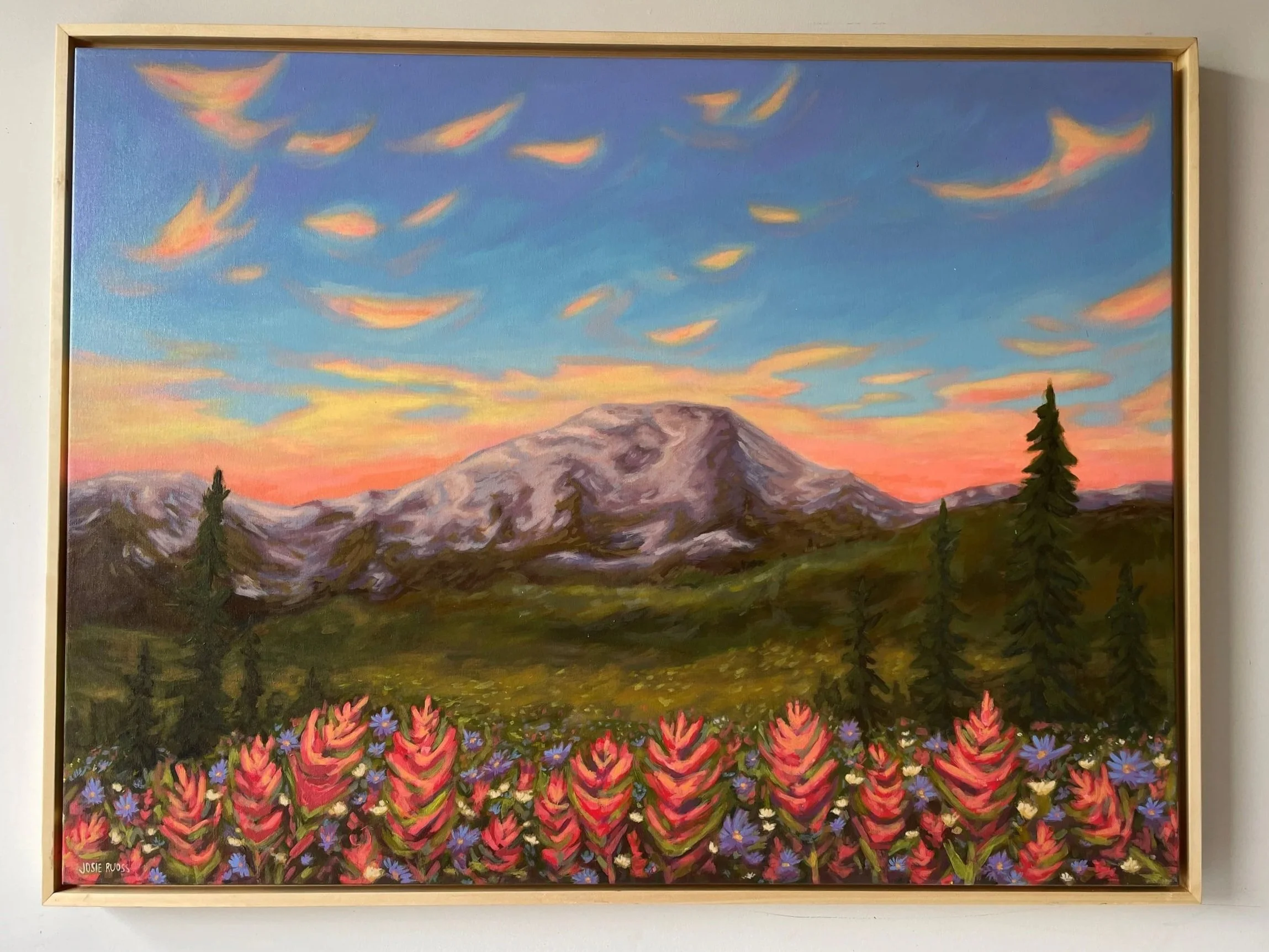 Mountain Paintbrush