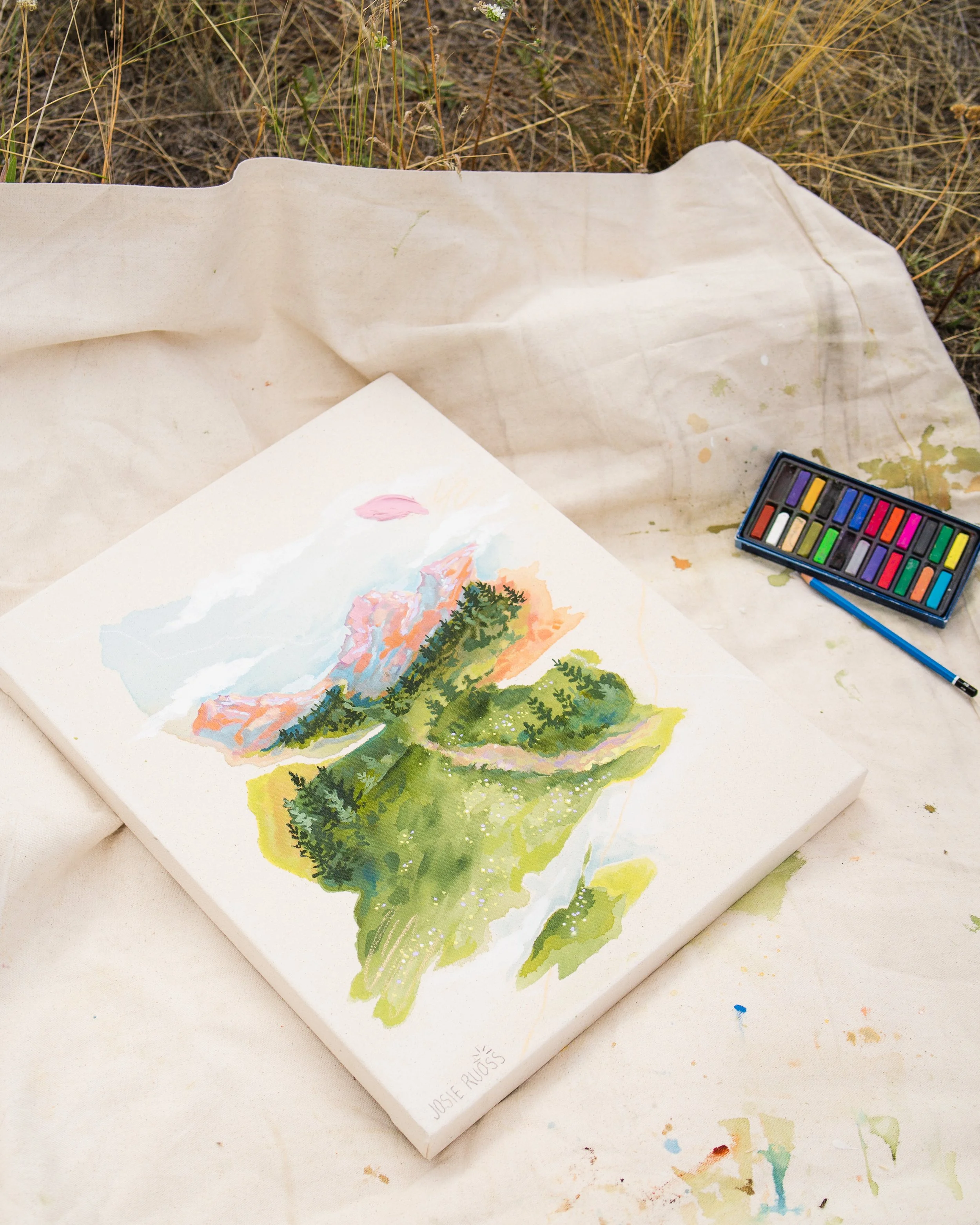 Mountain Meadow