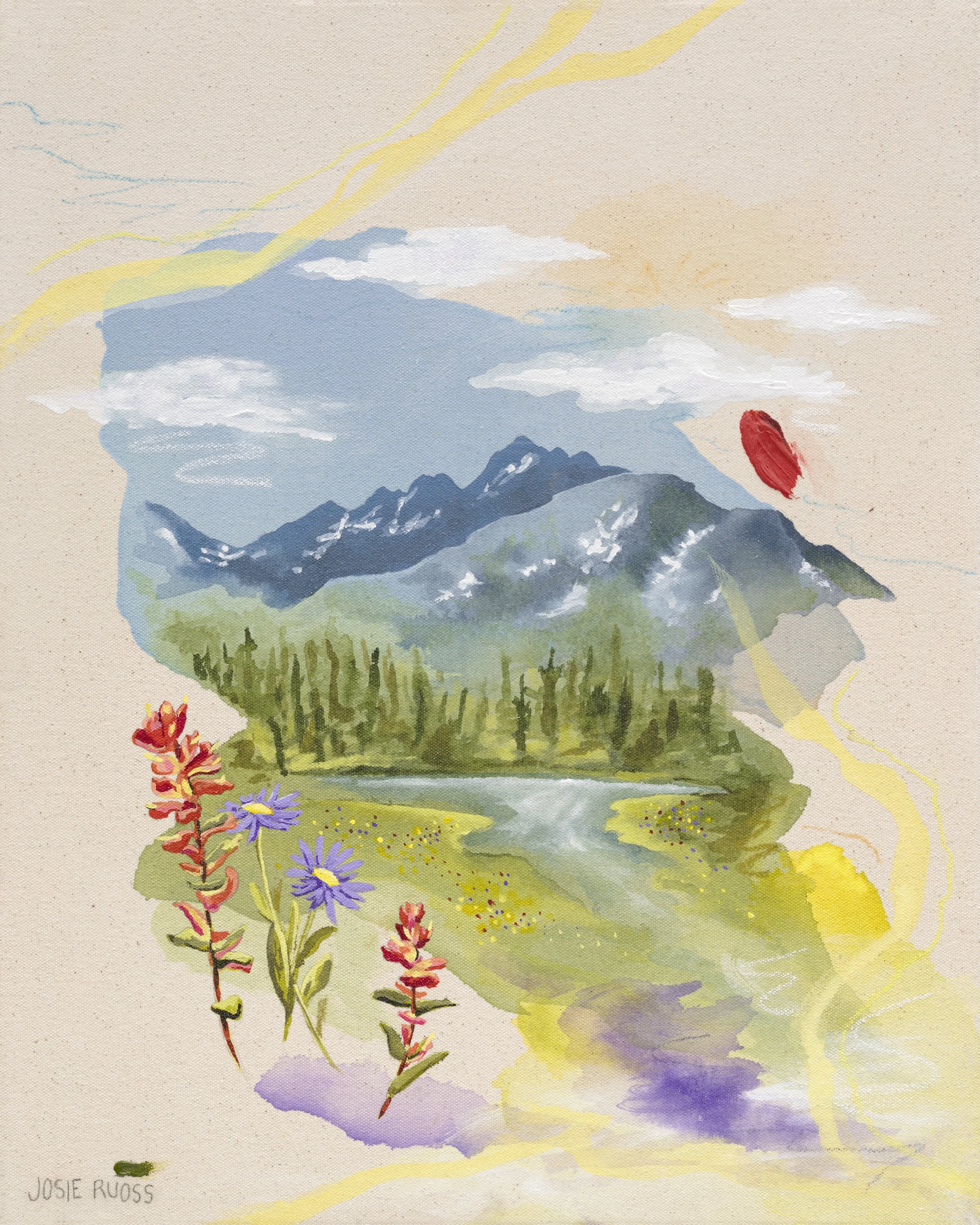 Mountain Wildflowers
