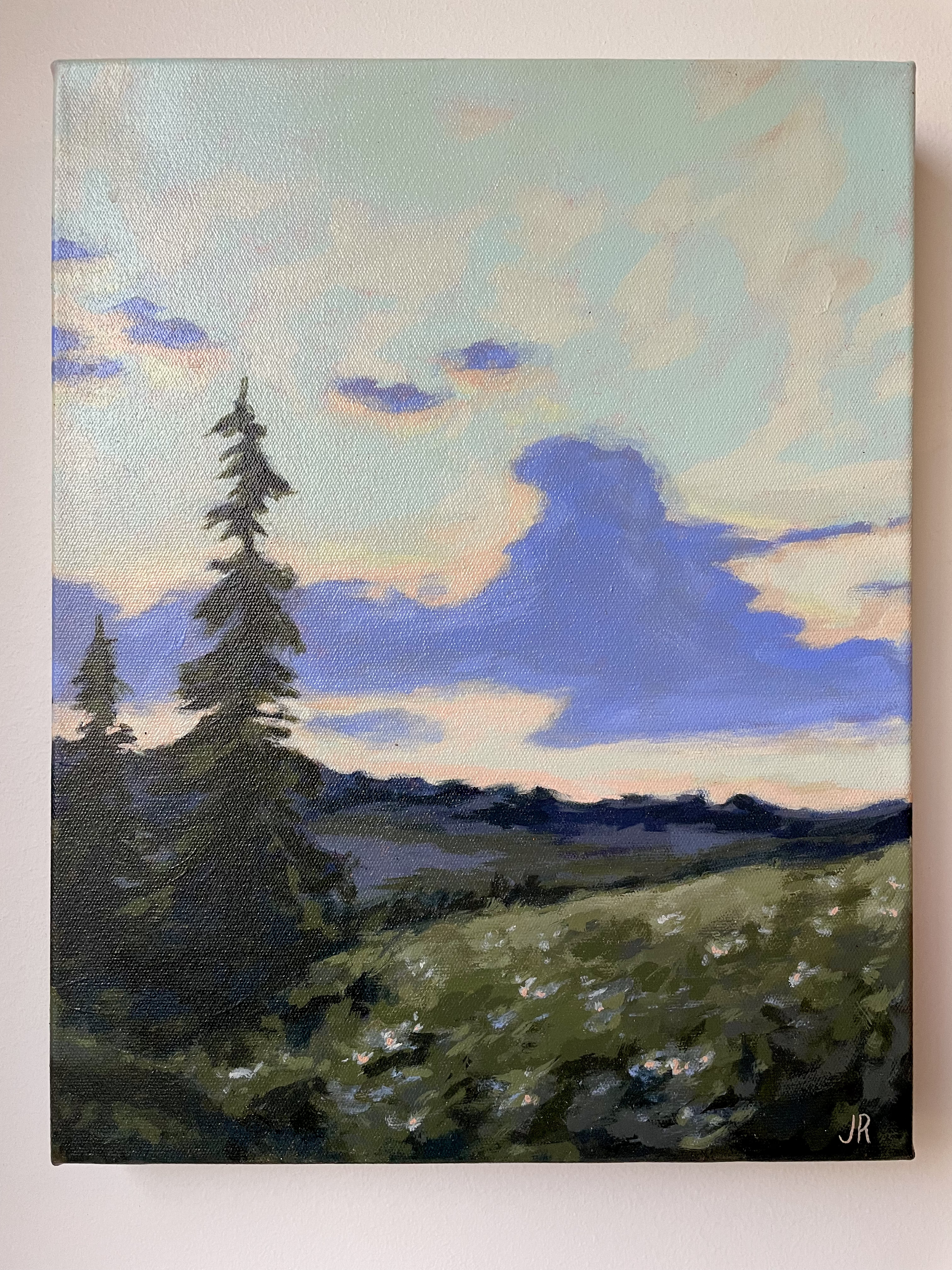 Forrest at Dusk