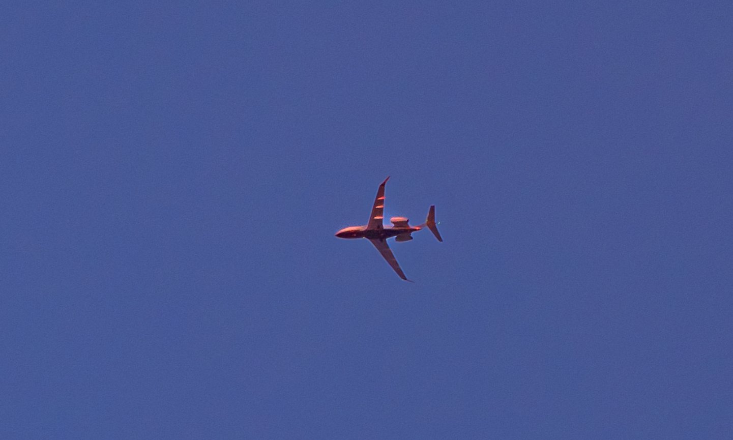 IMG_8884.JPG