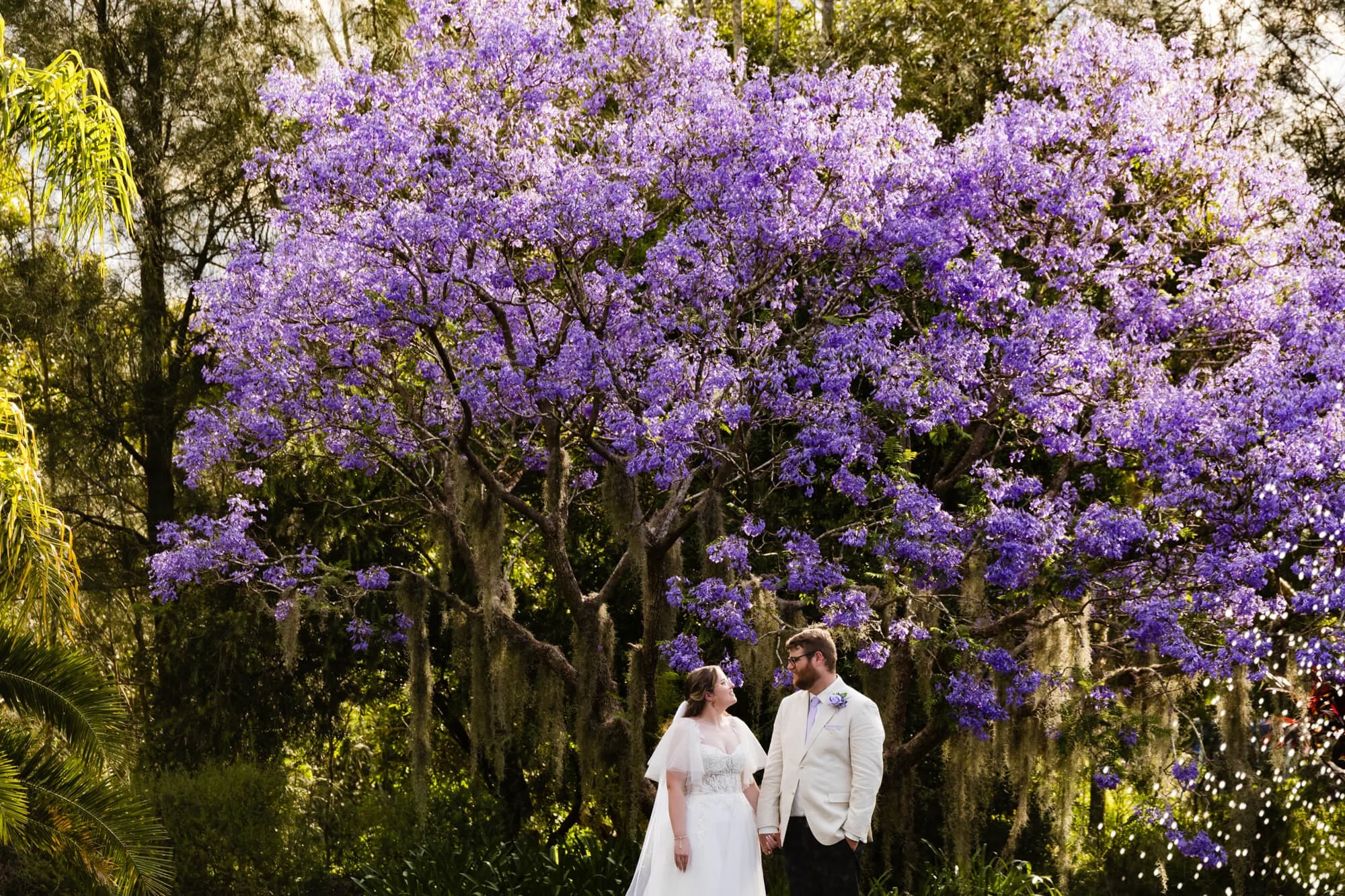 Bride and groom standing under a blooming purple jacaranda tree with petals drifting around them.