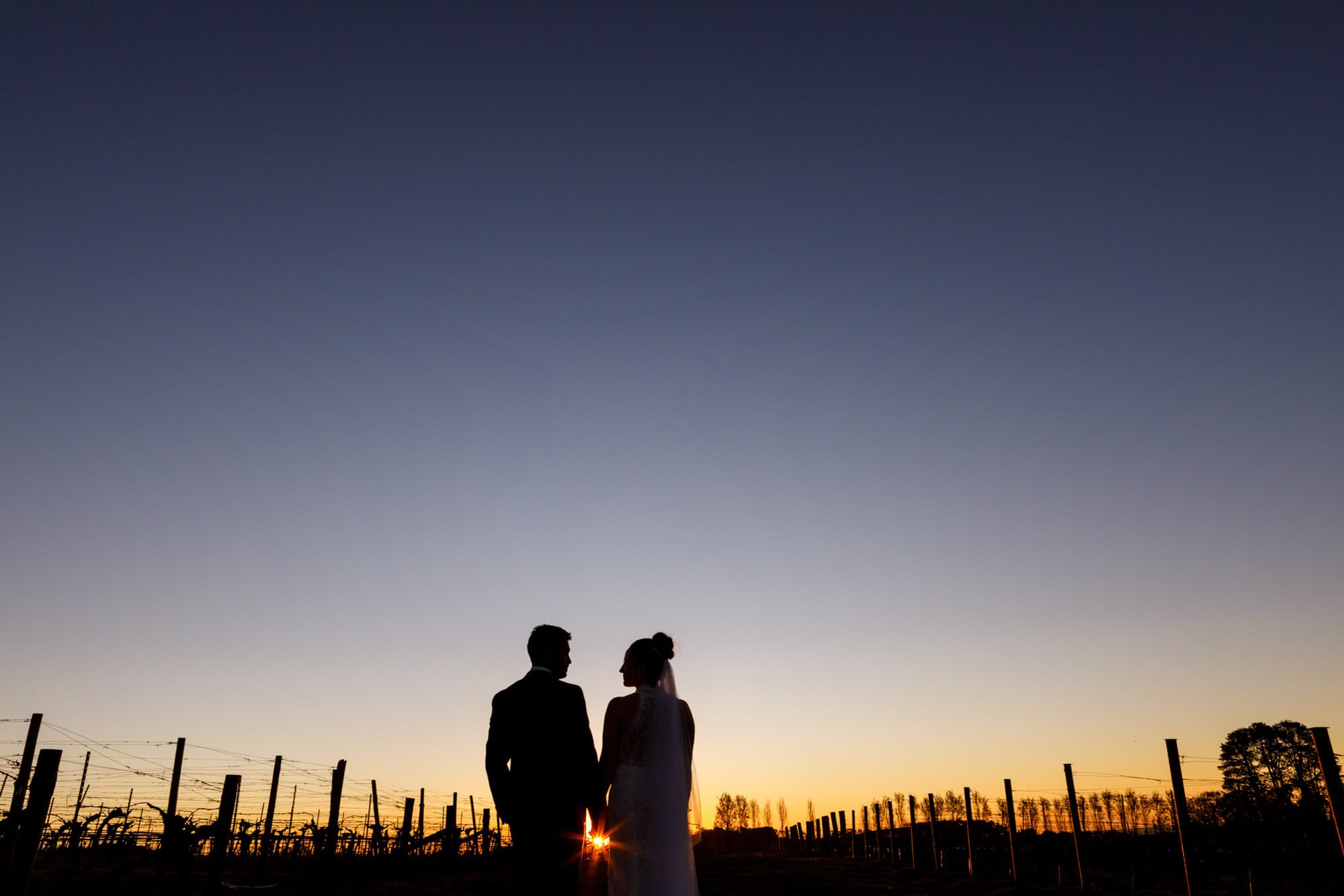 Silhouette of the bride and groom holding hands among vineyard rows, bathed in natural sunset light, Orange, NSW