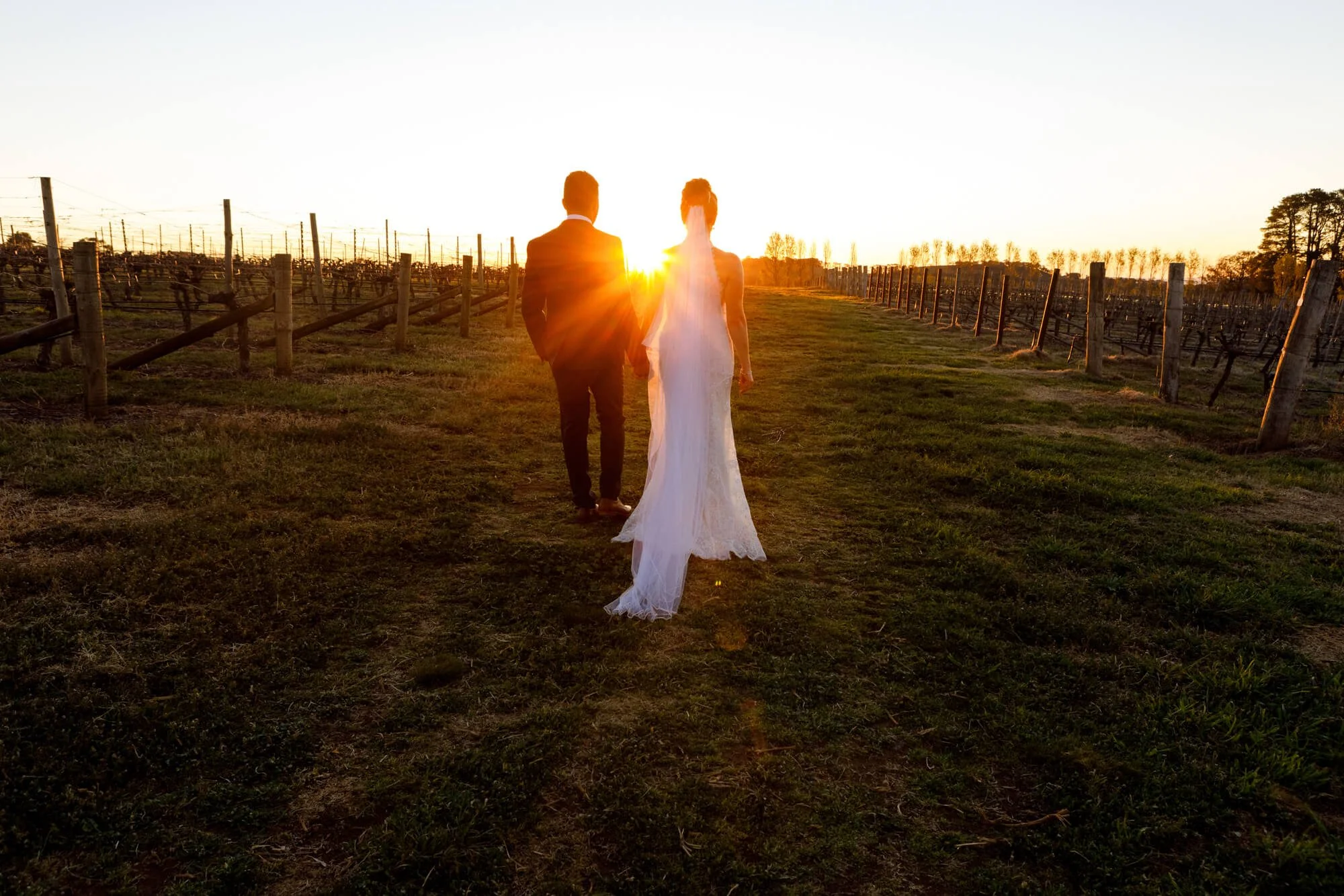 hunter-valley-wedding-photographer-couple-at-sunset.jpg
