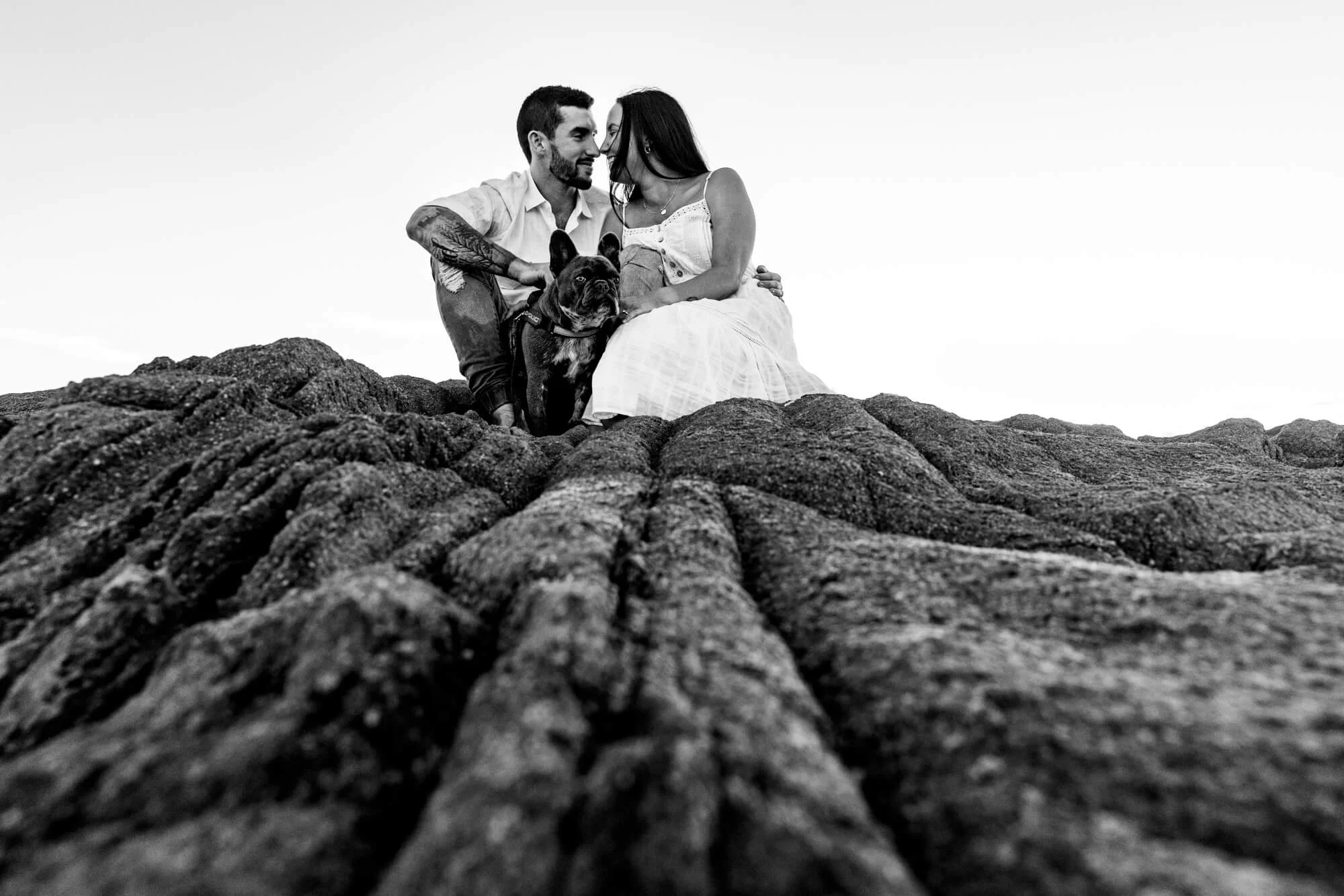 engagement-photos-with-pet-dog-nsw.jpg
