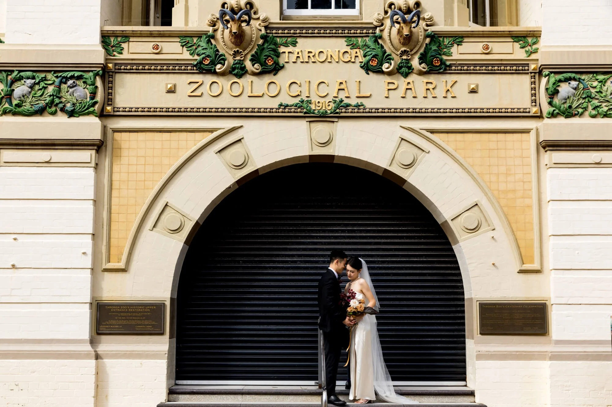 taronga-zoo-01.jpg