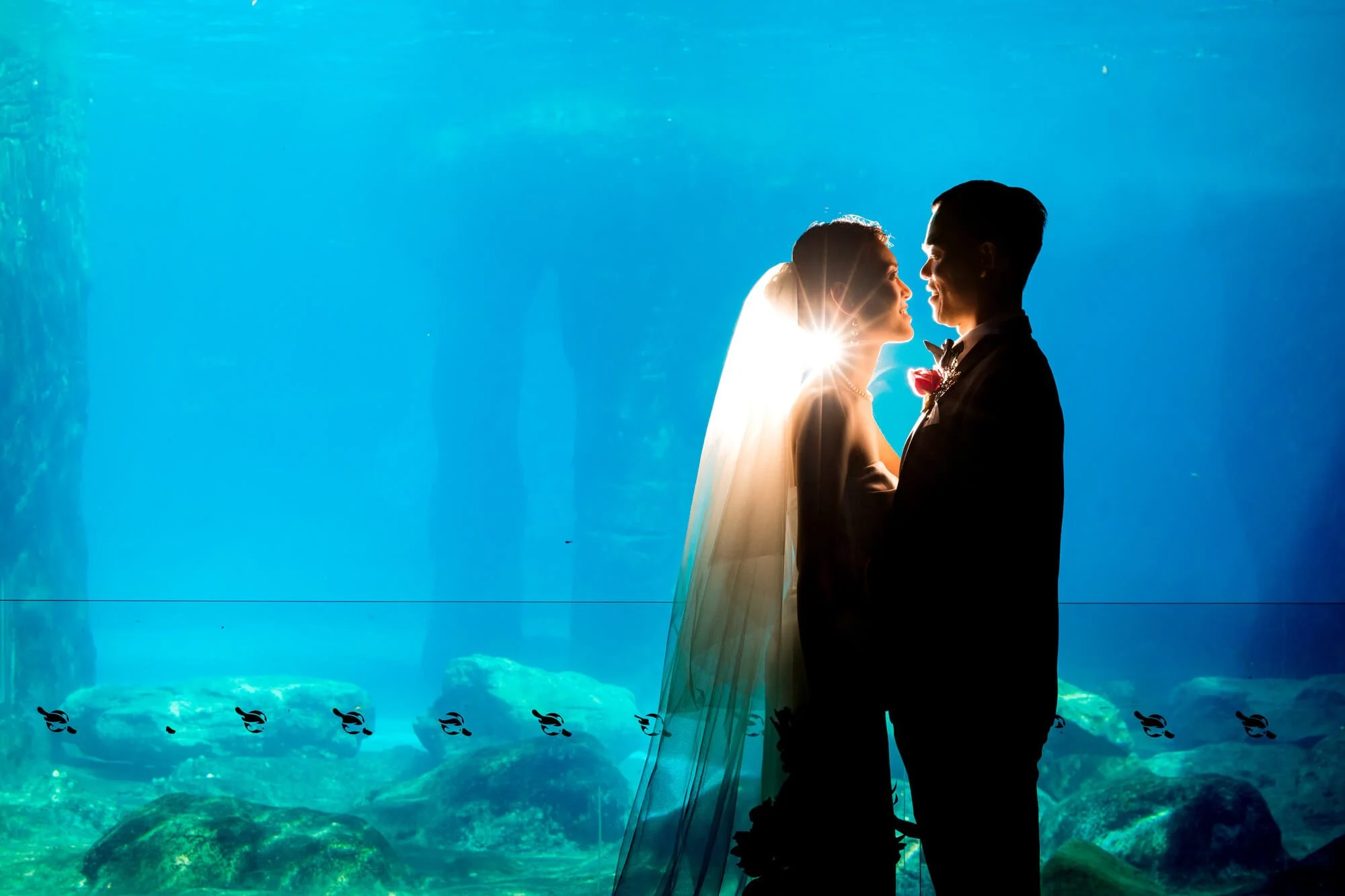taronga-zoo-03.jpg
