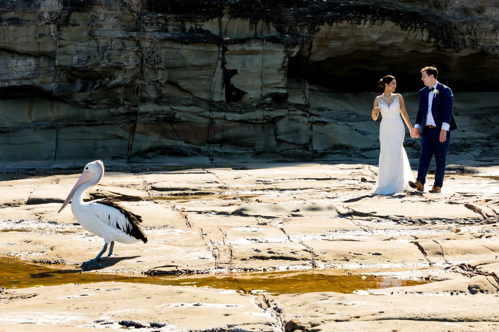 avoca-beach-house-20.jpg