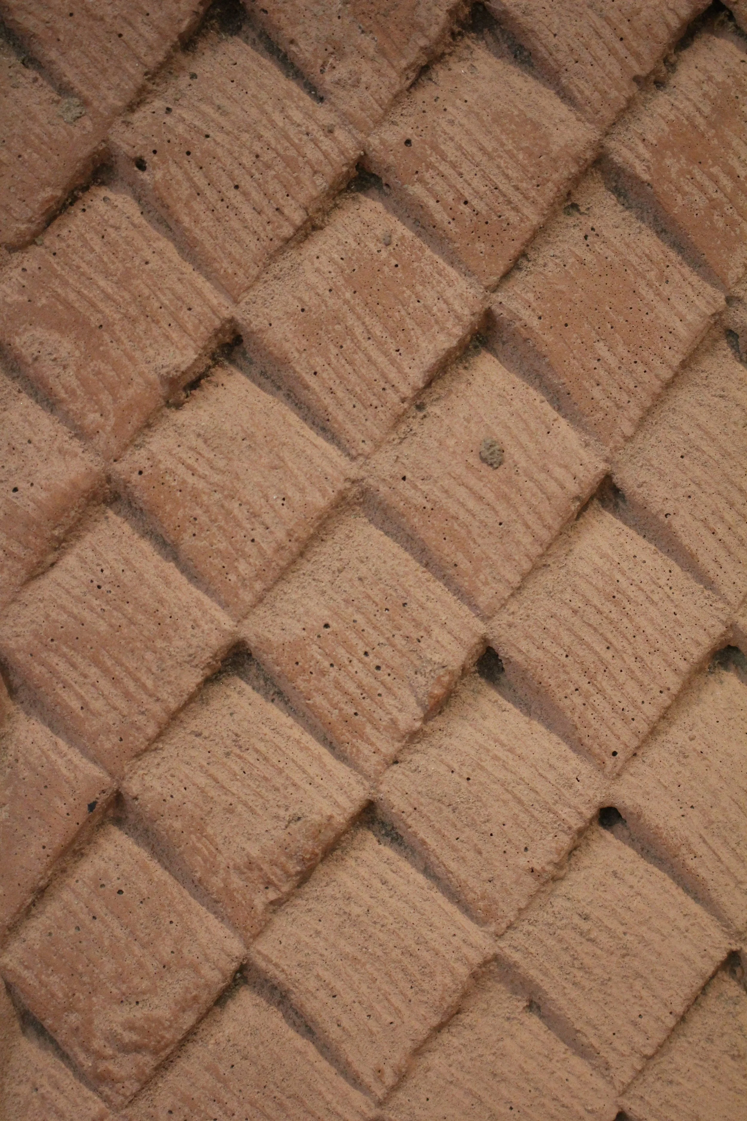 IMG_6626.JPG
