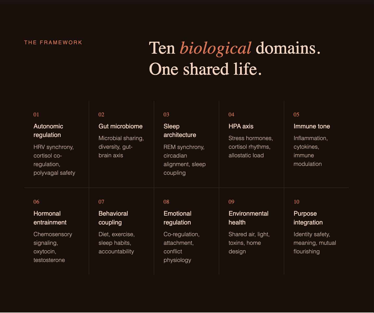 A digital infographic titled 'Ten biological domains. One shared life.' with ten sections: 1) Autonomic regulation, 2) Gut microbiome, 3) Sleep architecture, 4) HPA axis, 5) Immune tone, 6) Hormonal entrainment, 7) Behavioral coupling, 8) Emotional regulation, 9) Environmental health, 10) Purpose integration.