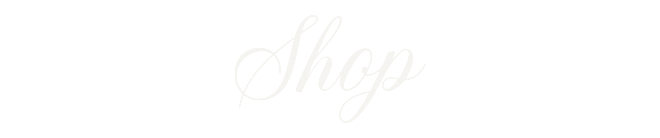 Black background with white cursive text that says "Shop".