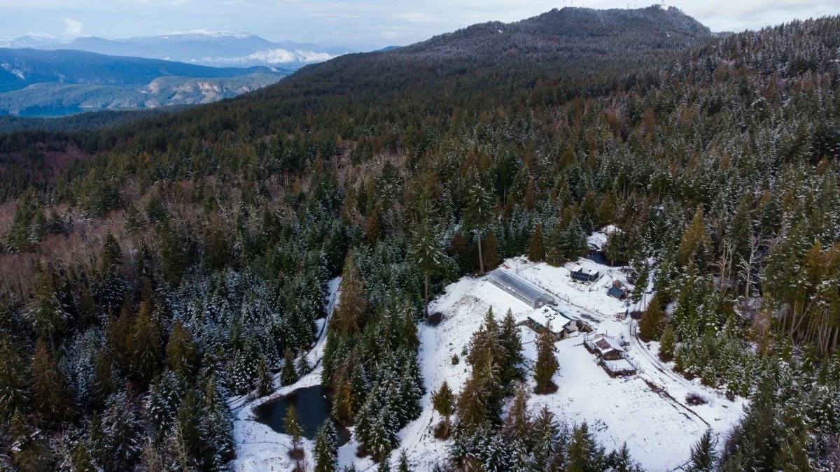 A snow-covered forested hillside with a small lake and a few buildings, likely a cabin or rural residence, nestled among the trees.