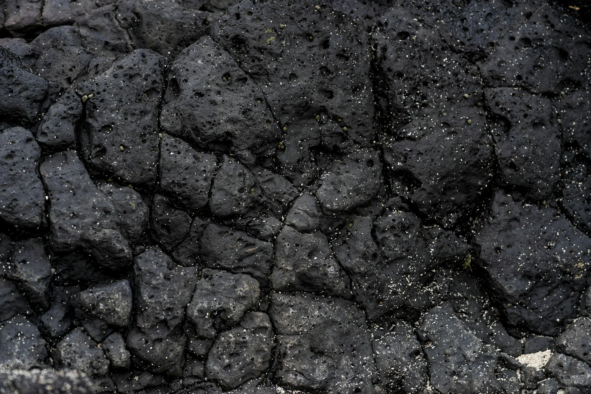 The Soil Amendment That Outlives You by a Thousand Years
