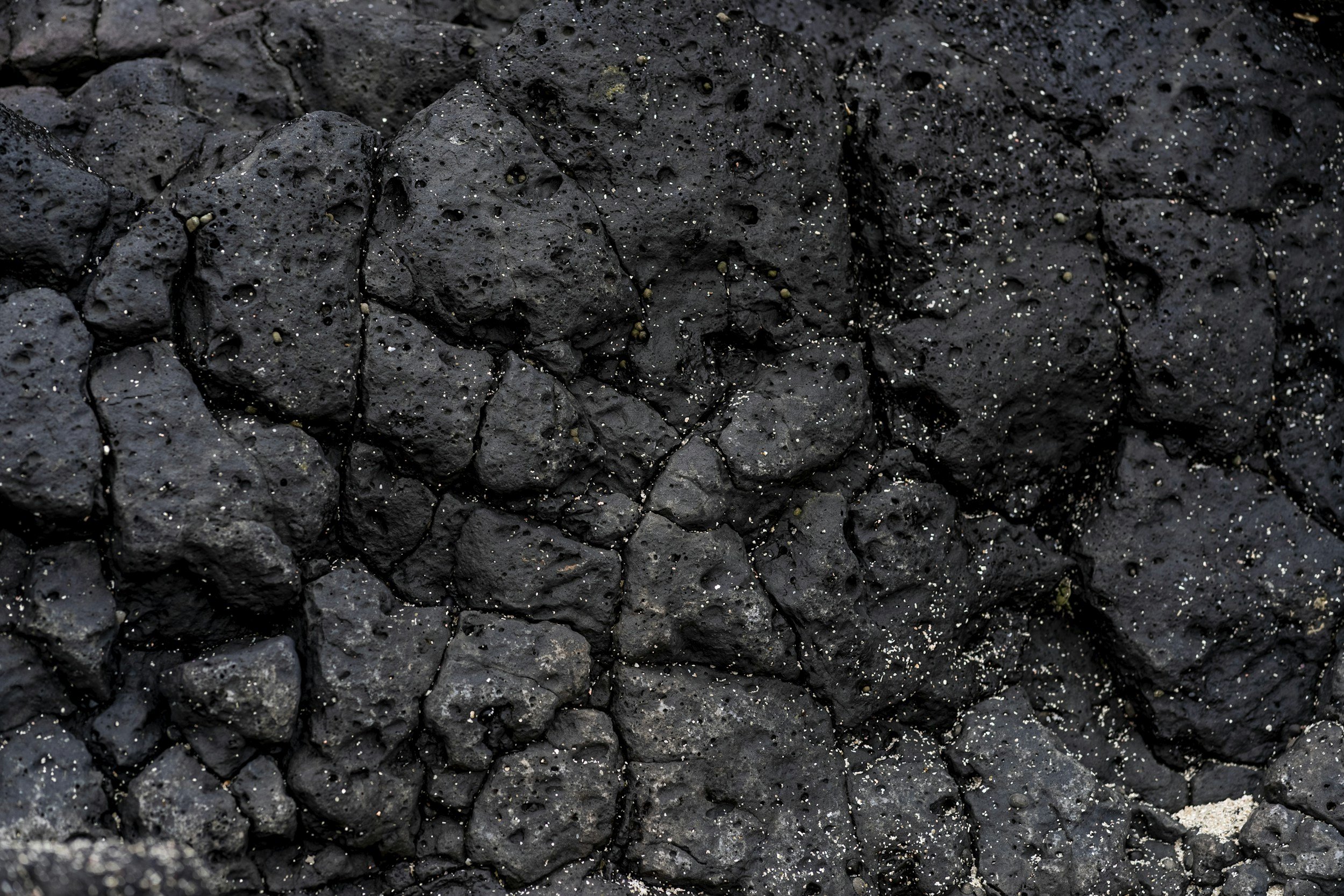 Close-up of black volcanic rocks with small white and yellowish mineral deposits.
