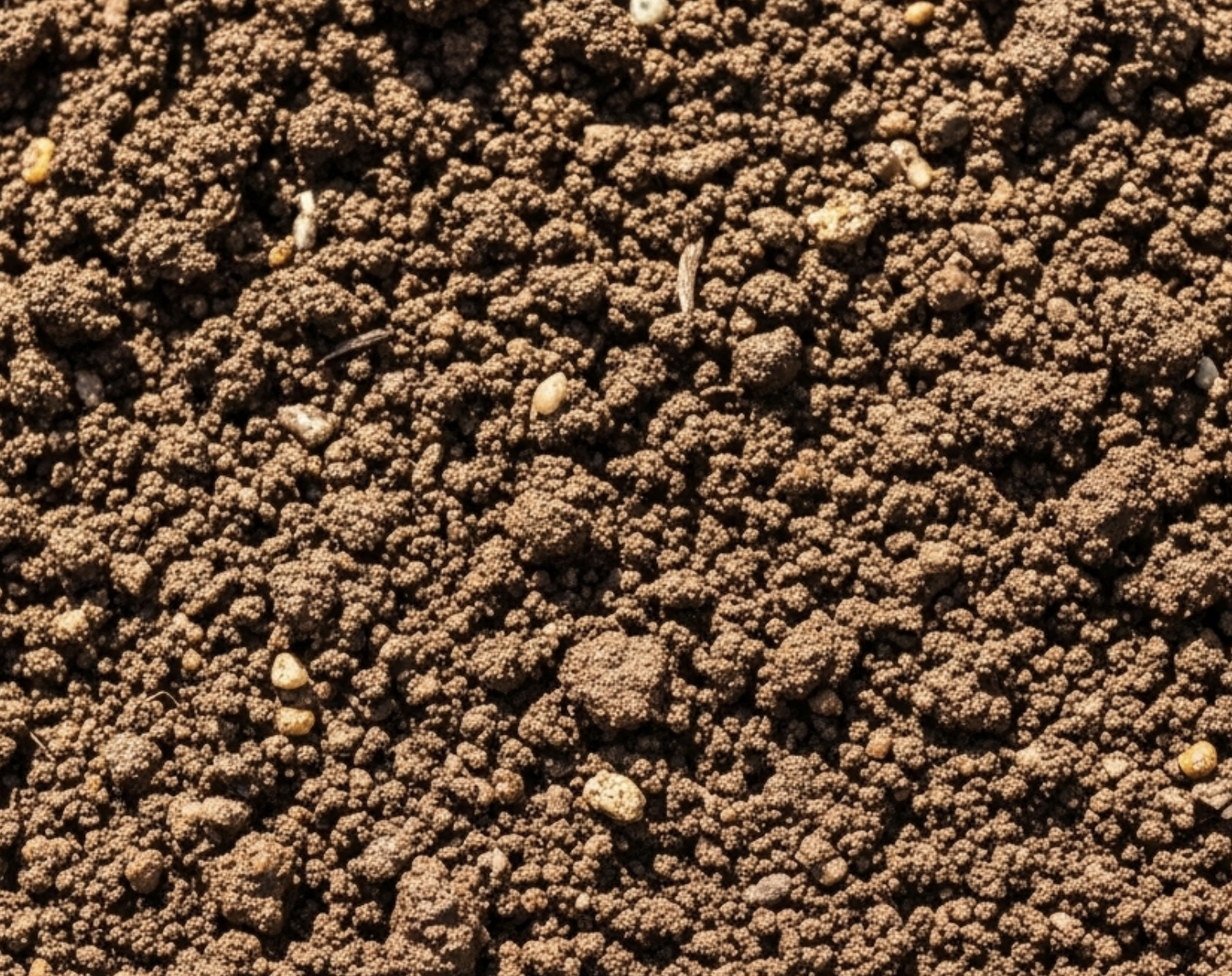 Close-up of soil with small rocks and granular particles.
