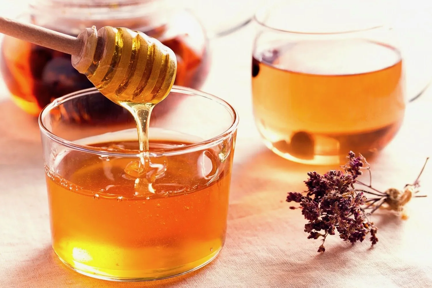 Crimson & Clover Honey