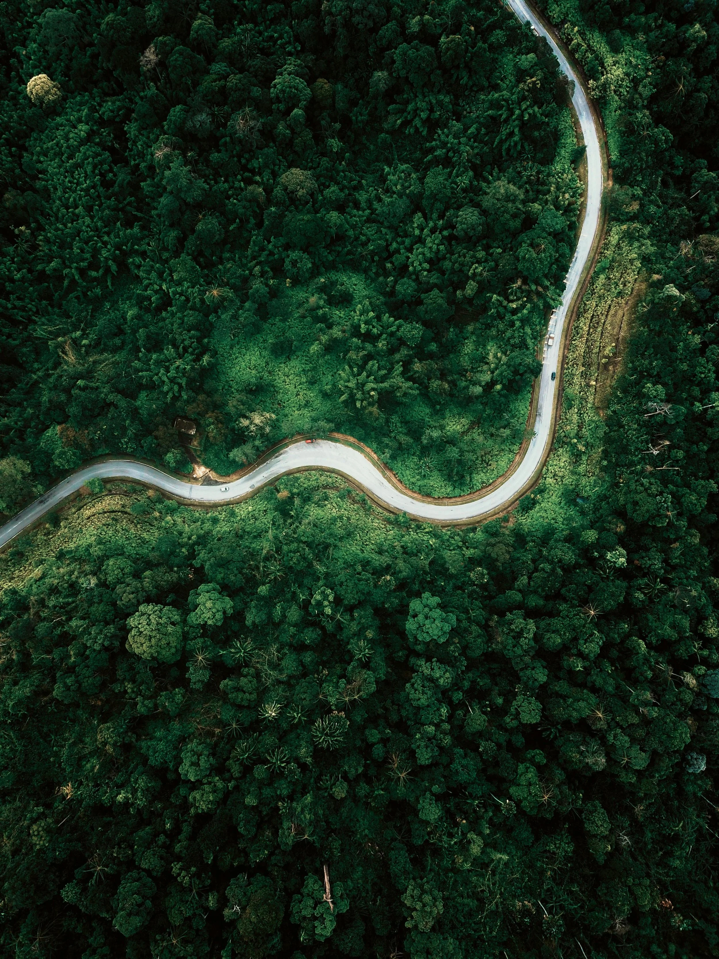 Where we begin