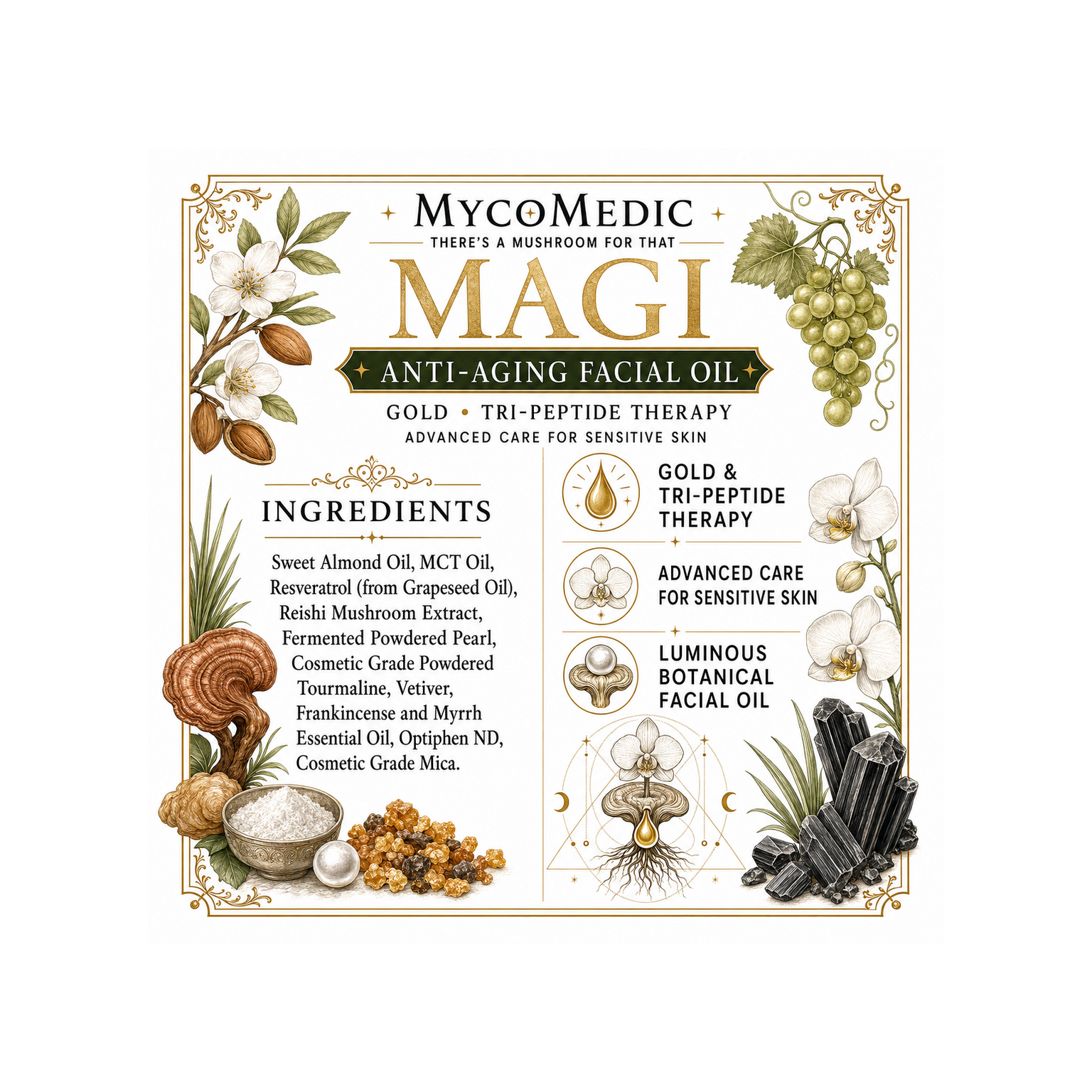 Magi_Info_Squarespace_Extra_Margin.png