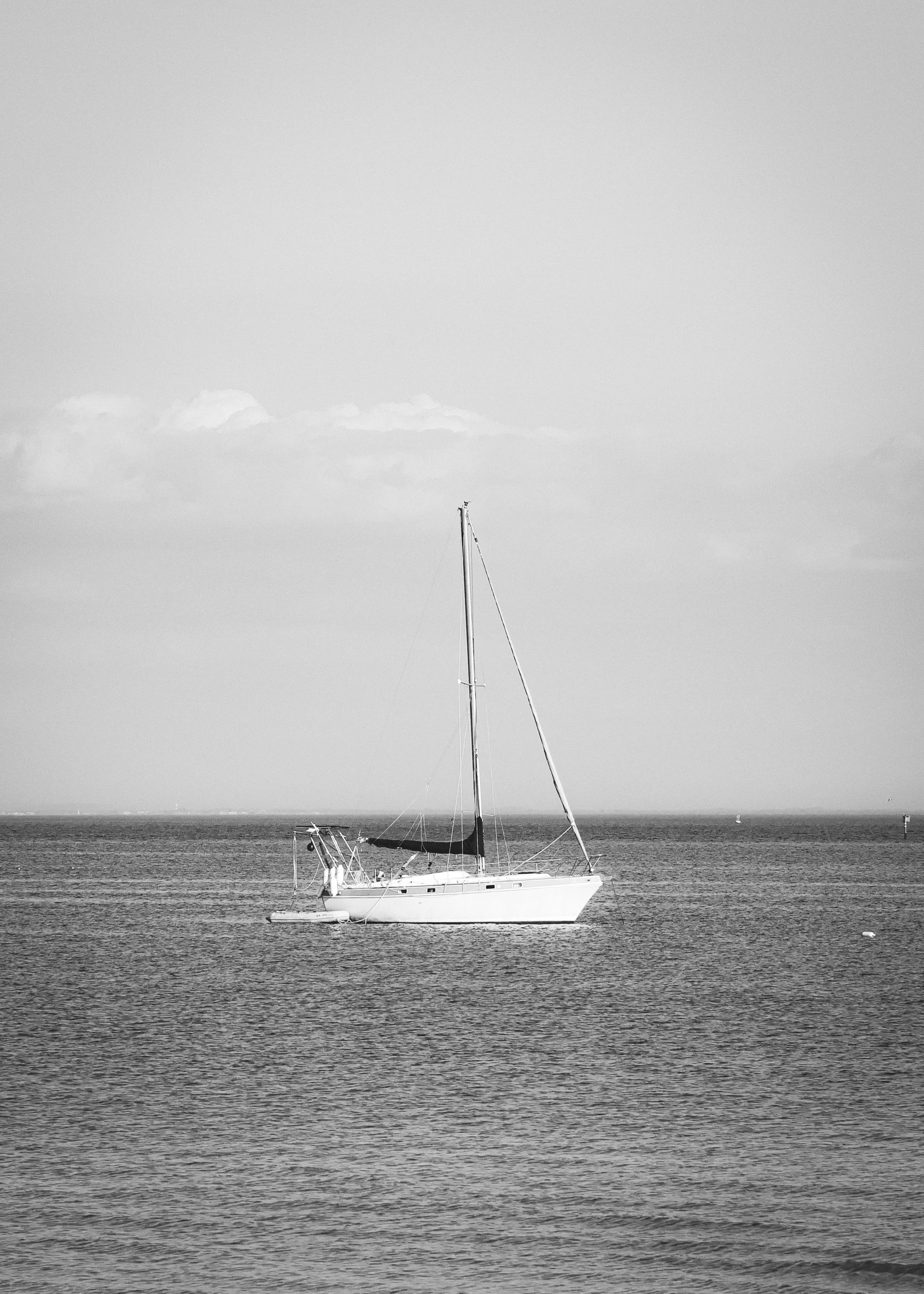 9K7A3273.jpg