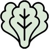 Bane Farm lettuce icon