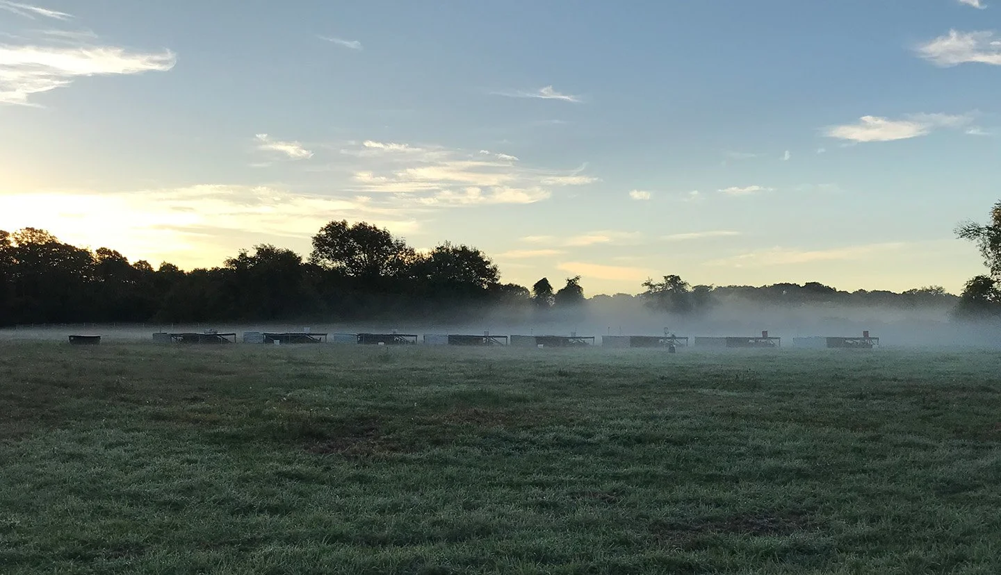 A grassy field with a row of shooting targets in the distance, fog near the ground, trees in the background, and a partly cloudy sky at sunrise or sunset.