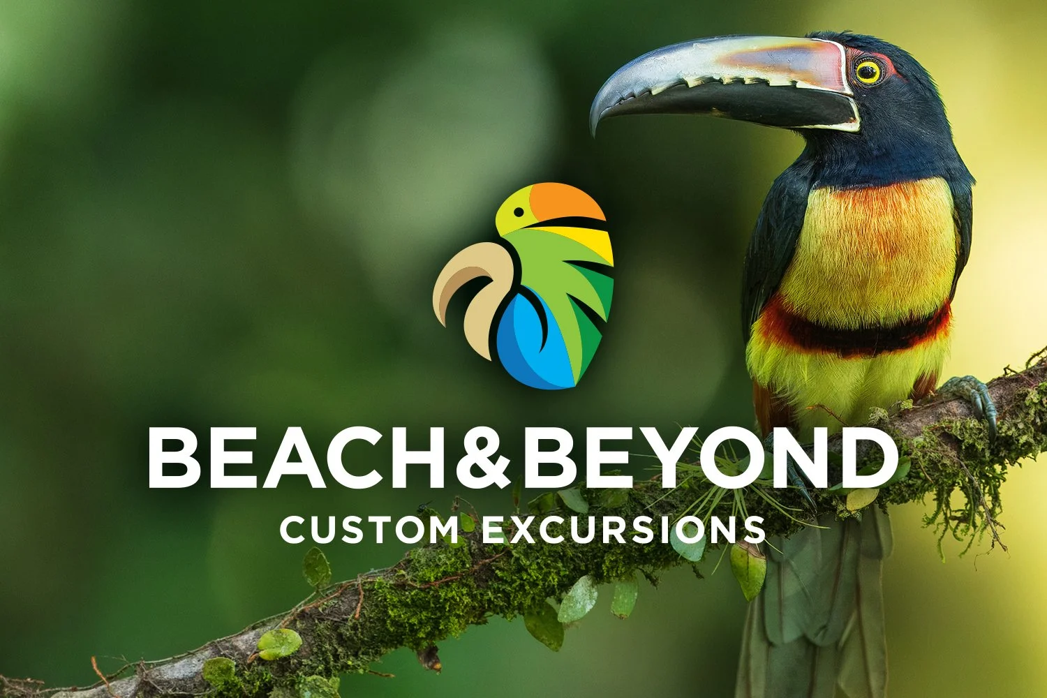 Beach & Beyond Custom Excursions logo identity