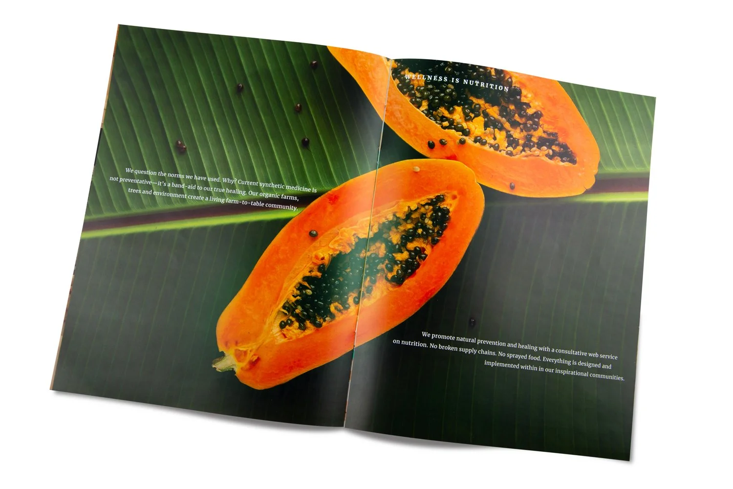 Nikori Lifestyles corporate brochure