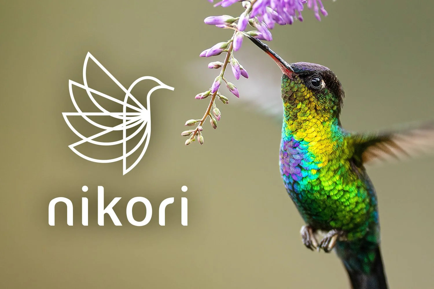 Nikori Lifestyles logo identity