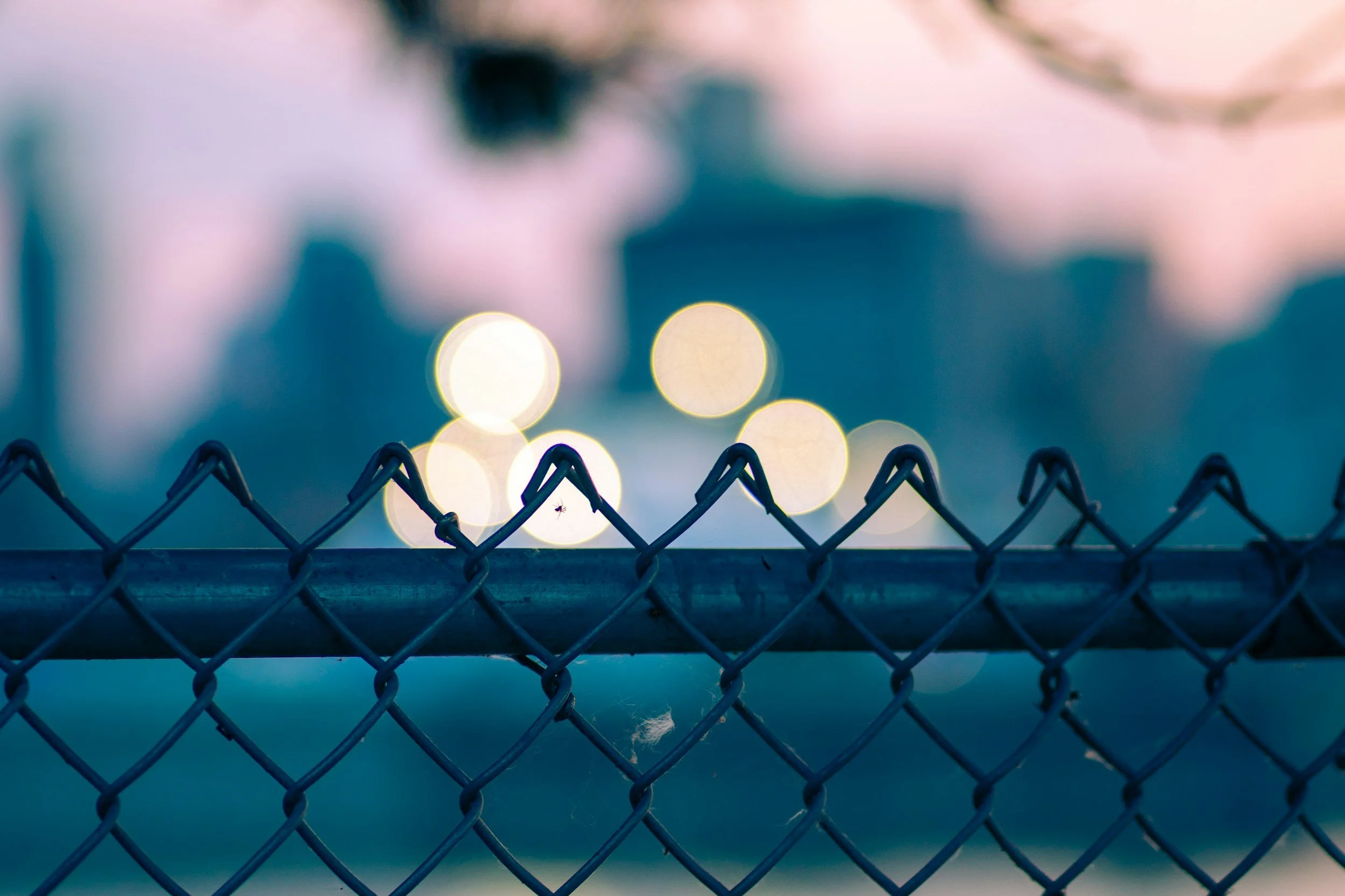 Good Fences Make Good Neighbors: The Operational Case for Structure in a Flat Organization