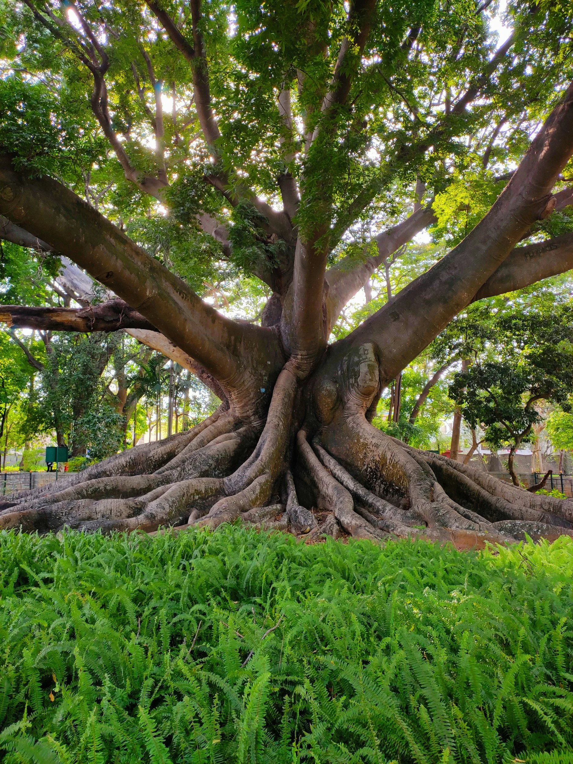 Culture Is a Financial Moat: The ROI of Healthy Work Culture
