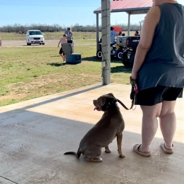 A woman with a gray tank top and black shorts holding a leash attached to a sitting brown puppy at an outdoor event. In the background, people are near a small building with a red roof, and a white car is parked on a dirt area.