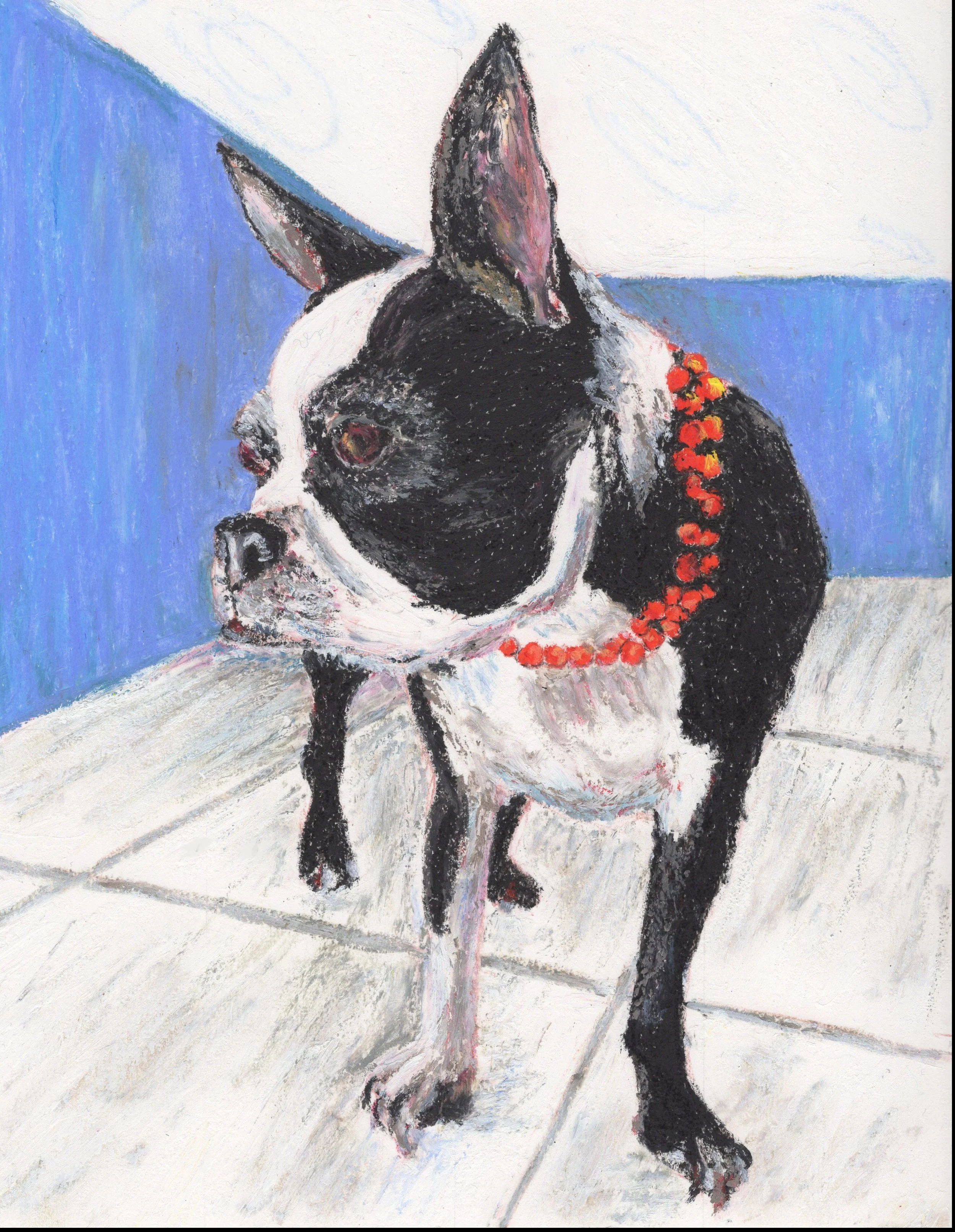 Fabulous Boston Terrier in Orange Beads - Art Print