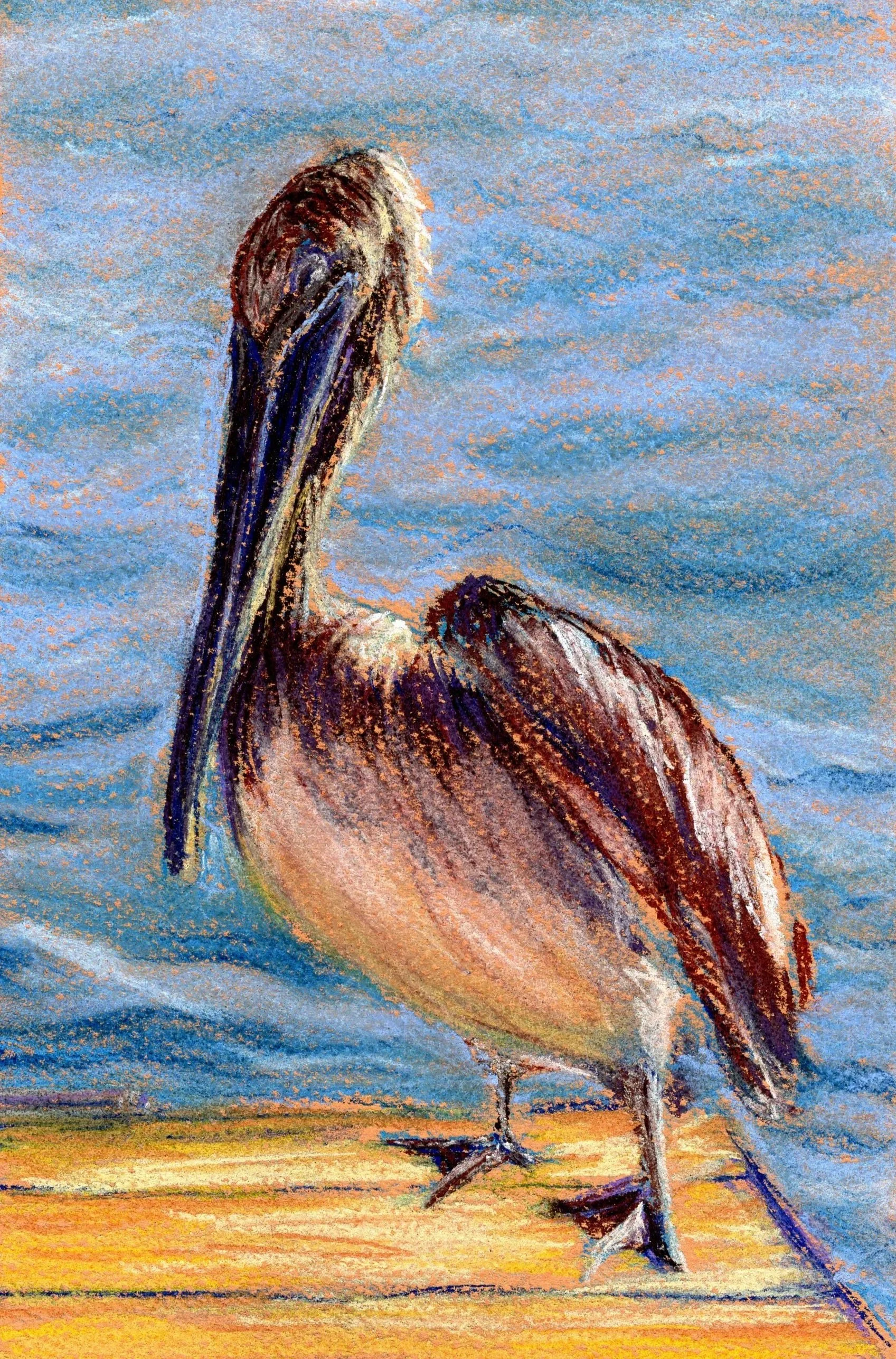 A Pelican's Portrait - Art Print