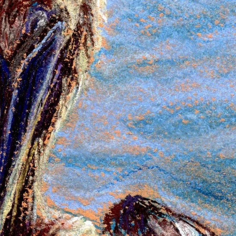 1780479251_APelicansPortrait.jpg