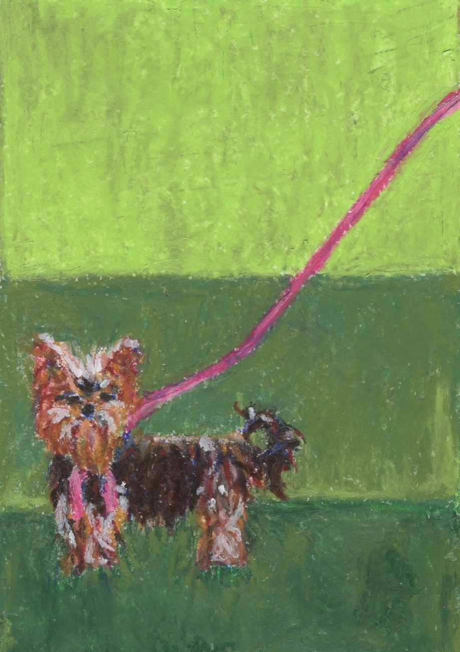 Glamorous Yorkie on Sage Green - Art Print