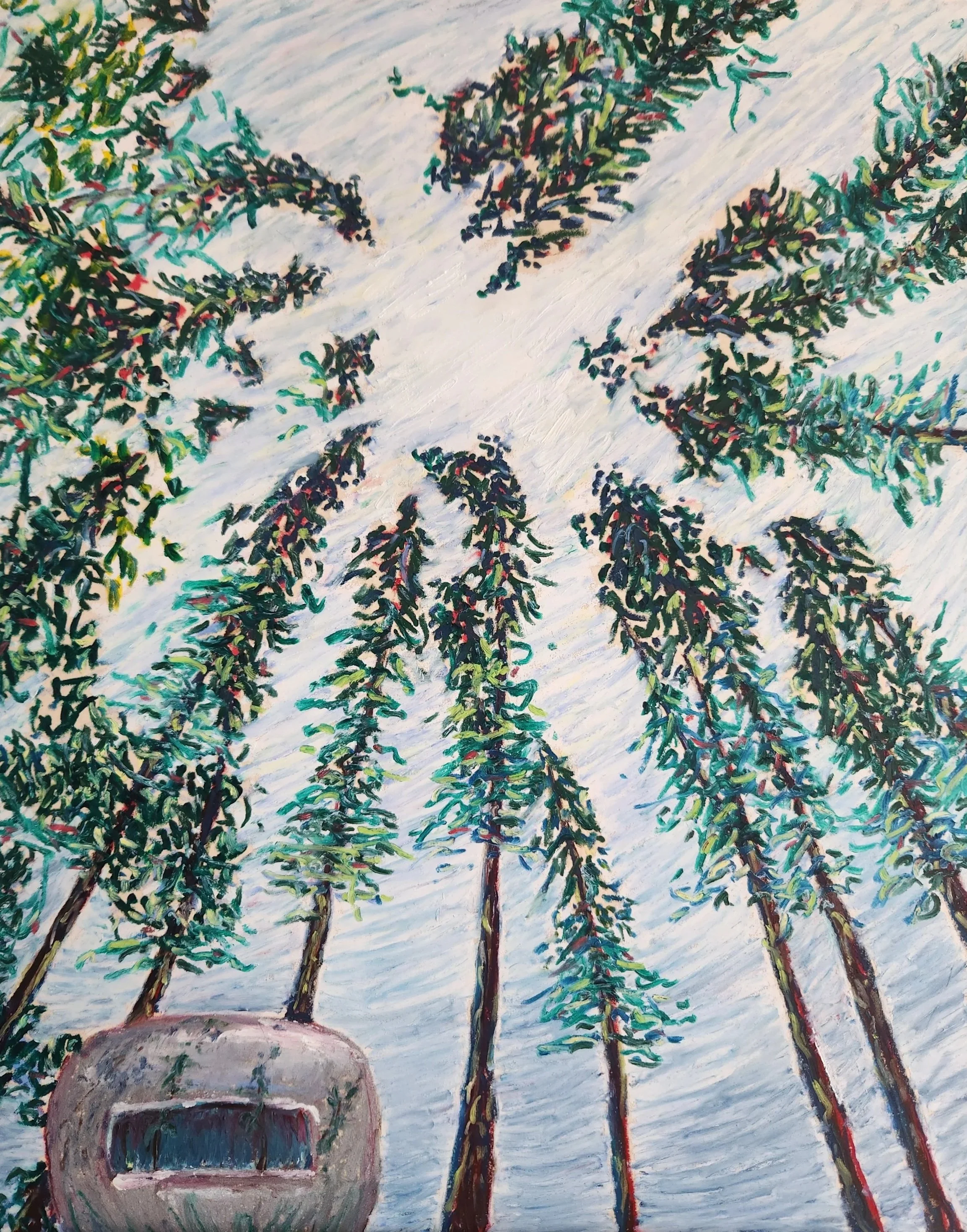 Looking Up - Art Print
