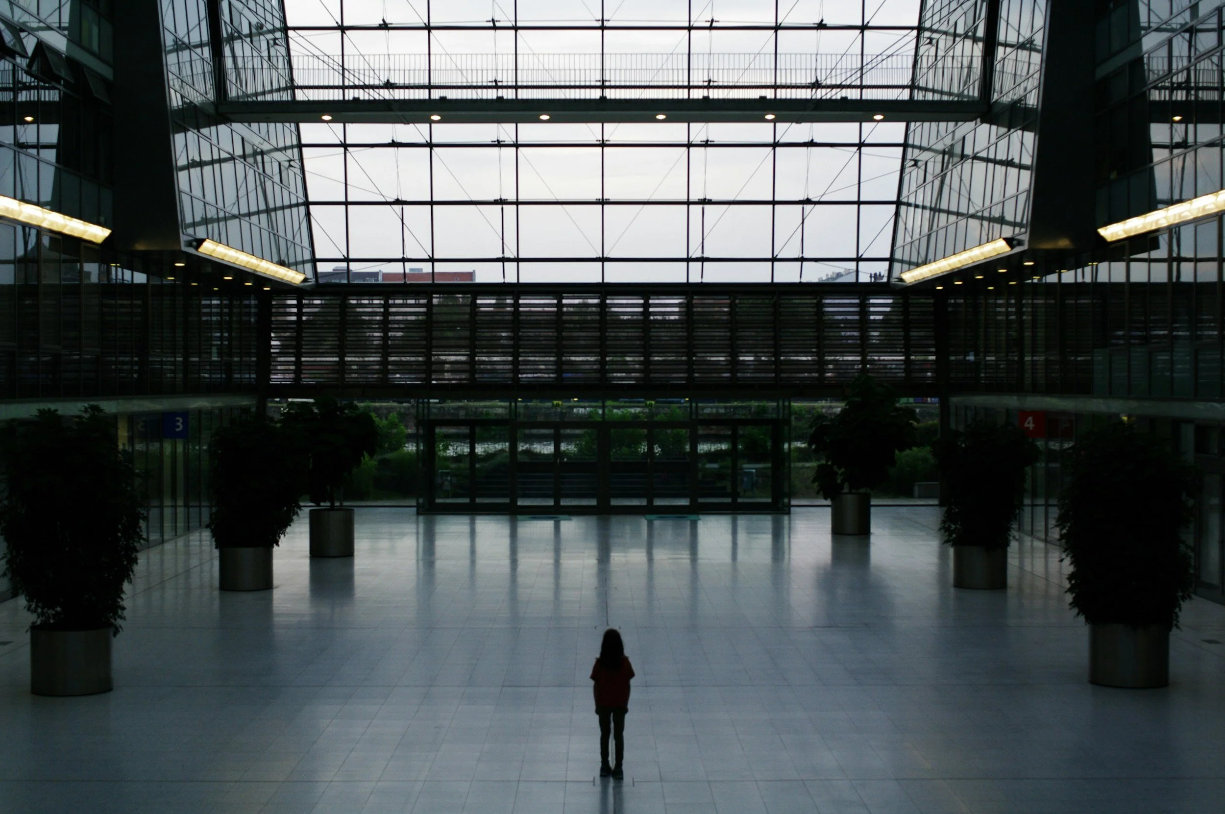 Interior of a modern building with a wide open space, large glass windows, and a grid-like ceiling structure. Two potted plants are on either side, and a person is standing in the foreground facing away from the camera.